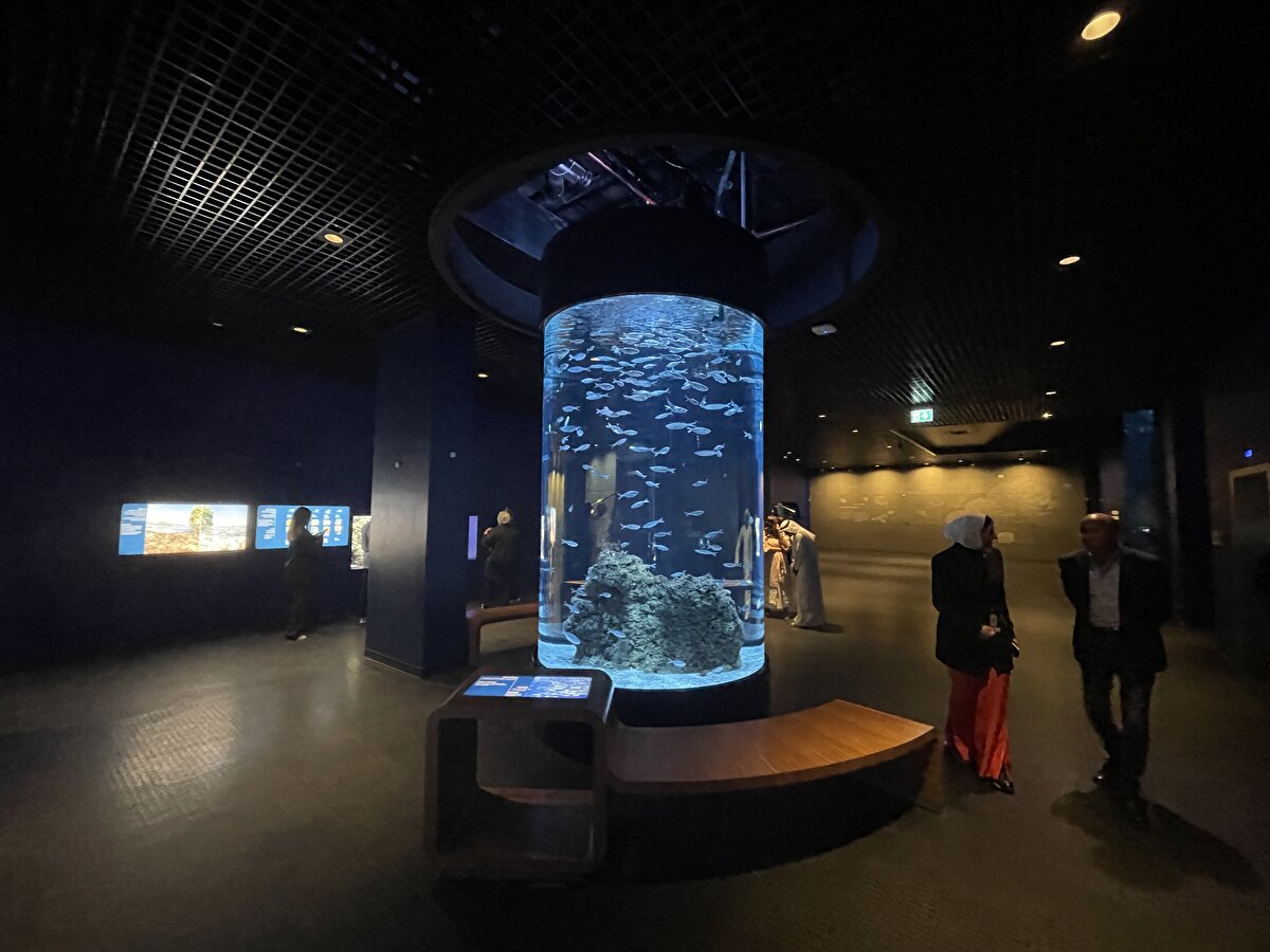 Merkezin bünyesinde alanında uzman kişilerden bilgi alınabilecek konferans ve eğitim salonlarının yanı sıra sanat merkezi, sergi salonları, farklı yaş ve ilgi alanlarına uygun çok sayıda kitap içeren bir kütüphane de bulunuyor.