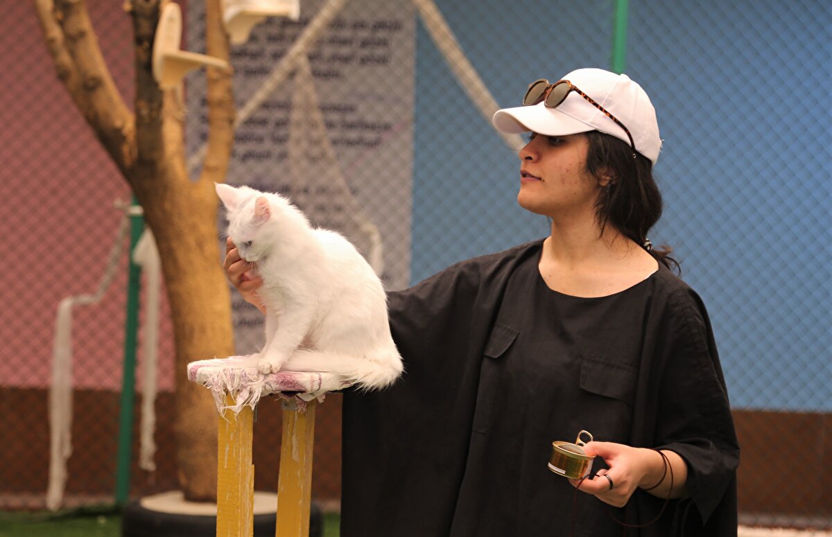 "Herkese bu güzel ortamı görmesini tavsiye ediyorum"<br><br>İran'dan Van'a gelen Homayoun Yousefıan, "Burası çok güzel. Gözleri farklı renklerde olan güzel kediler var. Gerçekten çok güzeller. Onları kucağıma alıp sevmek çok güzel bir tecrübe oldu. Herkese Van'a gelip bu güzel ortamı görmesini tavsiye ediyorum." dedi.