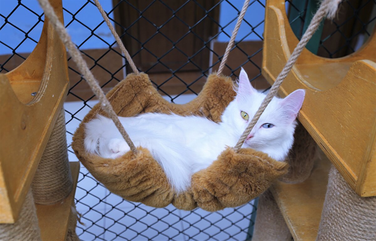 Merkez Müdürü Prof. Dr. Abdullah Kaya, AA muhabirine, merkezlerini hafta bini aşkın kişinin ziyaret ettiğini, bunun yüzde 40'ını yabancı turistlerin oluşturduğunu söyledi.<br>