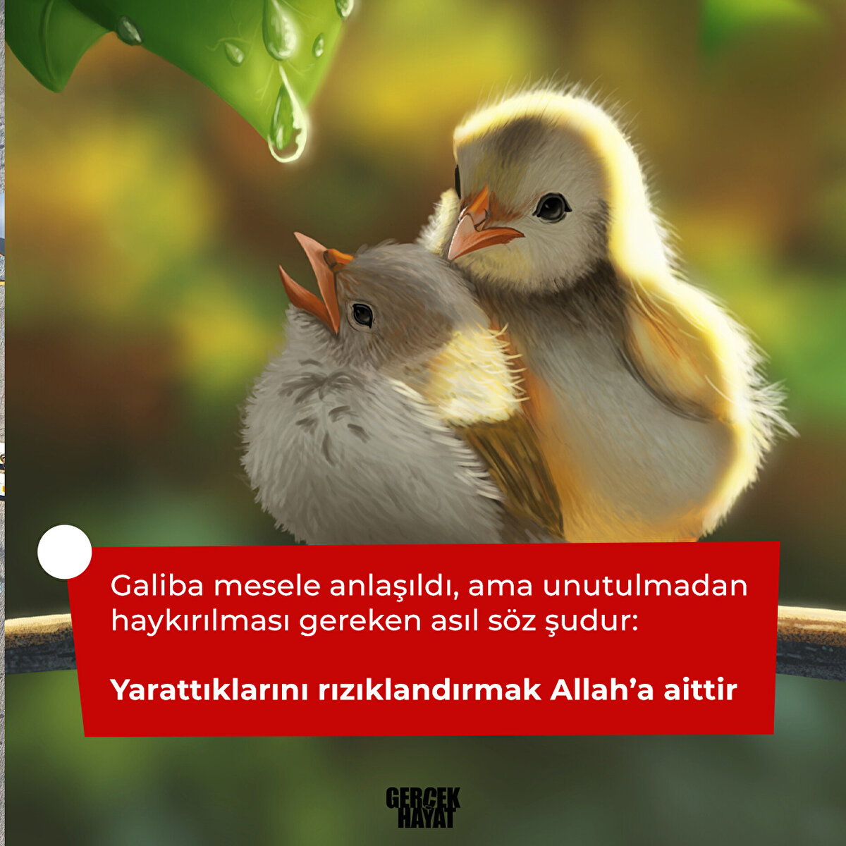 Yarattıklarını rızıklandırmak Allah’a aittir