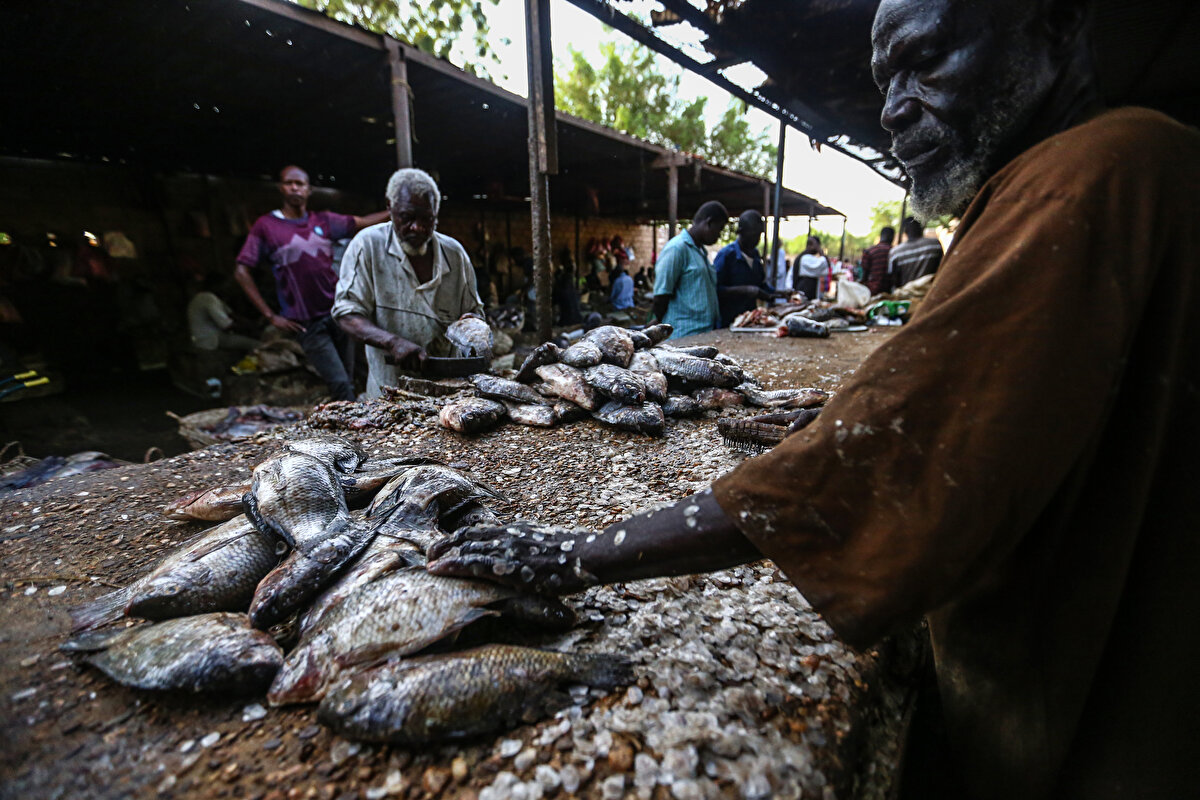 Günün ağarması ve balıkçı teknelerinin kıyıya yanaşmasıyla başlayan hareketlilik, birkaç saat sonra balıkların neredeyse tamamına yakınının satılmasıyla yerini sakinliğe bırakıyor.