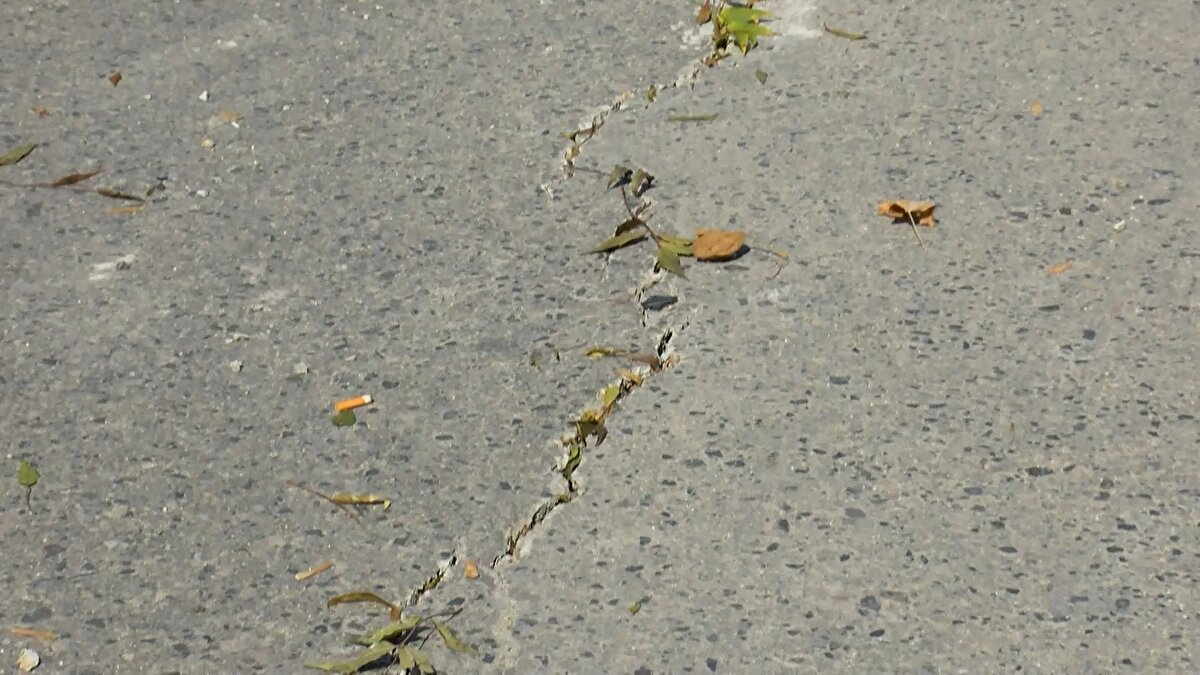 Avcılar Belediyesi zabıta ekipleri önlem alarak, cadde trafiğini tek şeride düşürdü. 