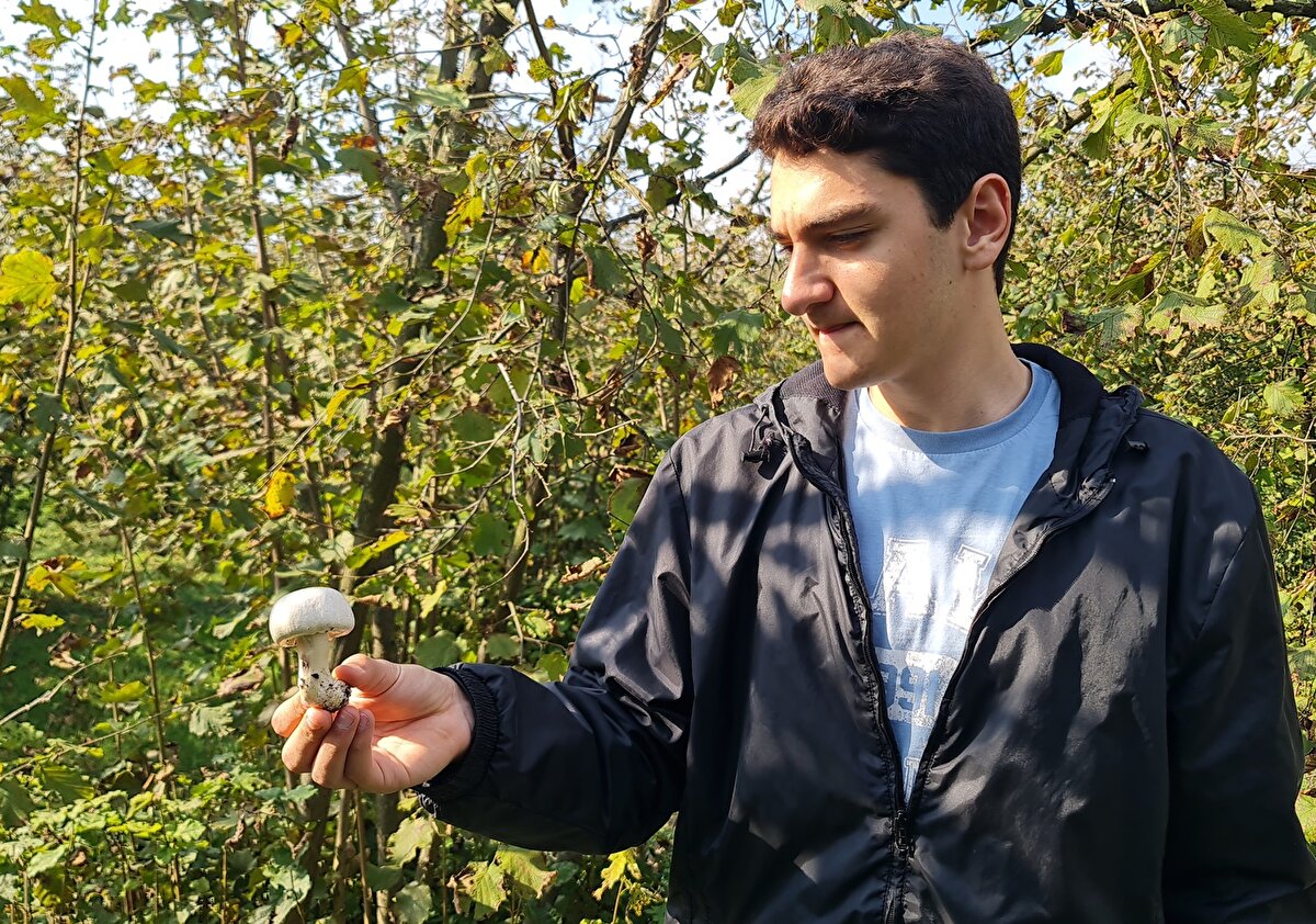 "Her mantarın farklı zehirlenme belirtileri var. Bunun dışında bulantı ve kusma gibi zehirlenme belirtileri gösteriyorsak mutlaka Ulusal Zehir Danışma hattı ya da 112'yi aramamız gerekiyor. Doğada yetişen doğal mantarlar yağmur yağmasıyla birlikte sonbahar ya da bahar aylarında çıkmaya başlıyor. Bunların içinde değişik toksin maddeler yer alıyor. Bu toksin maddeler neticesinde karaciğer hasarları ya da ölümcül sonuçlar ortaya çıkıyor. Mümkün olduğu kadar uzak durmak gerekiyor"<br>