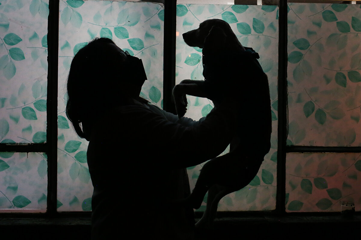 Jacqueline Cuentas ve kocası Alejandro Castro, 50 kilogramlık tüylü siyah bir Rottweiler melezi olan köpekleri Logan ile hiçbir yerde “hoş karşılanmadıkları”nı belirterek Paladrar’ı açmaya karar verdiklerini söyledi. <br><br>