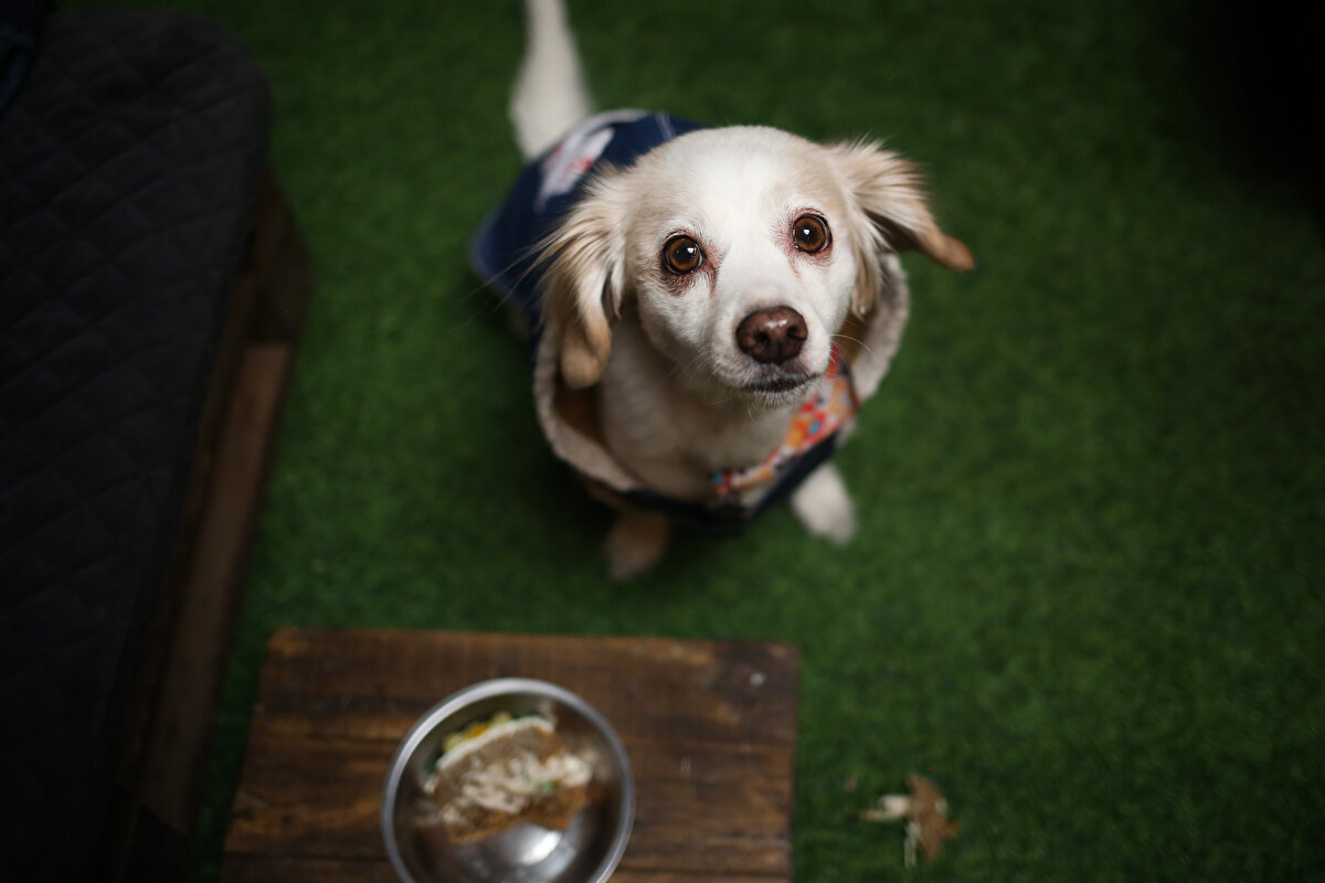 Aslen bir doktor olan 38 yaşındaki Cuentas, “Her zaman Logan'ın eğlenebileceği bir yere gitmek istedik. Logan’ın büyüklüğü nedeniyle hiçbir yerde hoş karşılanmadık. İlk başta bir eğlence parkı düşündük, ancak pandemi ile birlikte işler değişti ve gerçeklikle daha yakından bağlantılı bir şey düşündük. Pladrar böyle doğdu” dedi.<br><br>