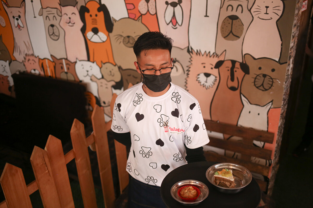 Köpekler için dünyada ilk restoran olma özelliğine sahip işletmenin pazarlama ve tanıtımdan sorumlu Klisman Roque, "Restoranın uygun fiyatlı olmasını istiyoruz ve müşterilerimizin mutlu olması ve bizi sürekli ziyaret etmesi için her zaman çeşitli kampanyalar hazırlıyoruz. Dünyada köpeklere özel yemek hazırlayan ilk restoran biziz, Bolivya'da veya diğer ülkelerde başka bir örnek bulamadık" dedi.<br><br>