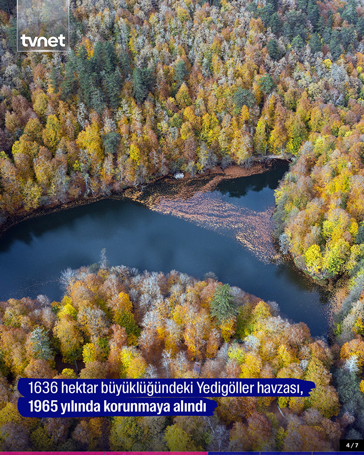 1636 hektar büyüklüğündeki Yedigöller havzası, 1965 yılında korunmaya alındı
