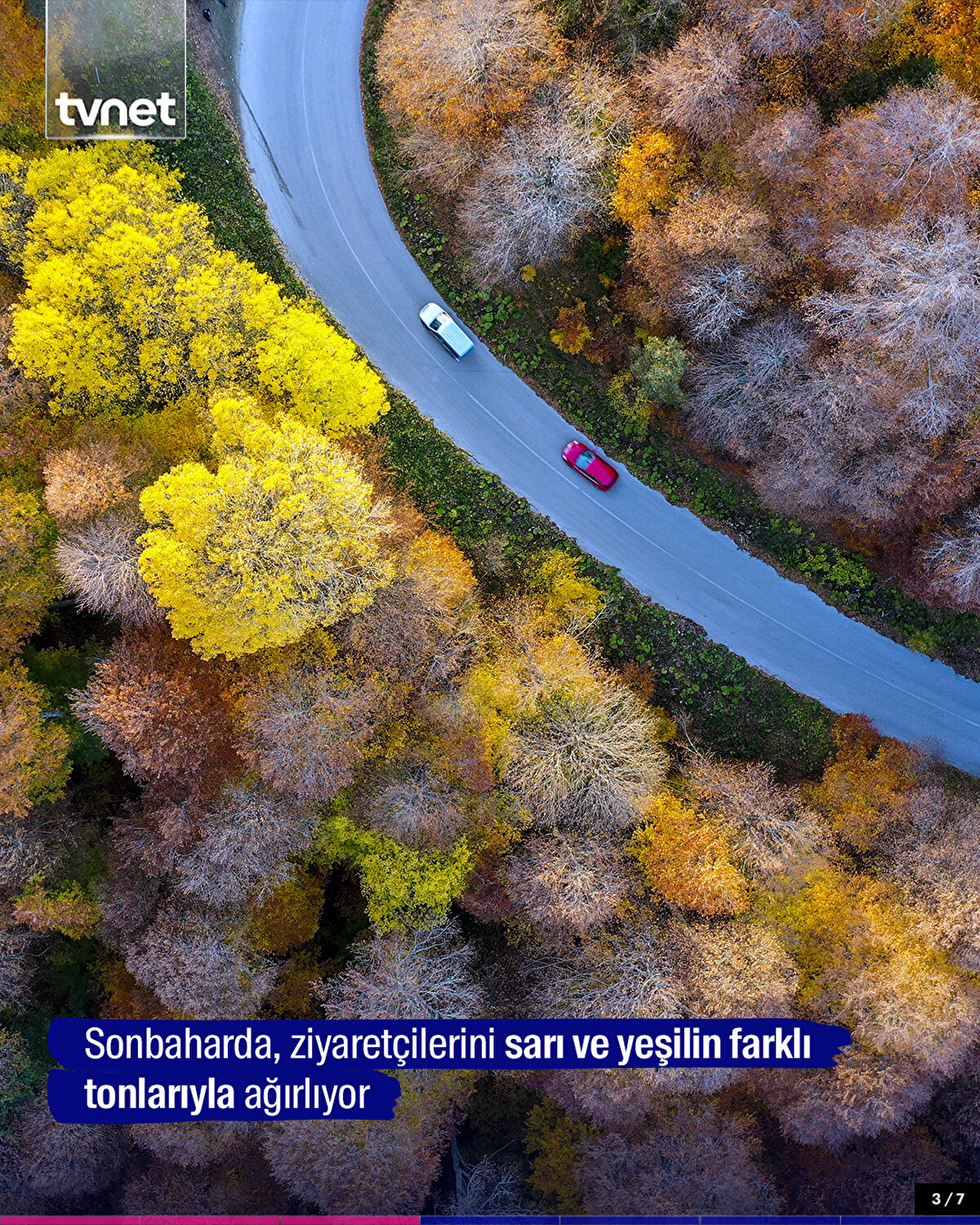 Sonbaharda, ziyaretçilerini sarı ve yeşilin farklı tonlarıyla ağırlıyor