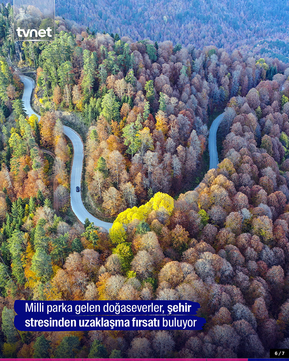 Milli parka gelen doğaseverler, şehir stresinden uzaklaşma fırsatı buluyor