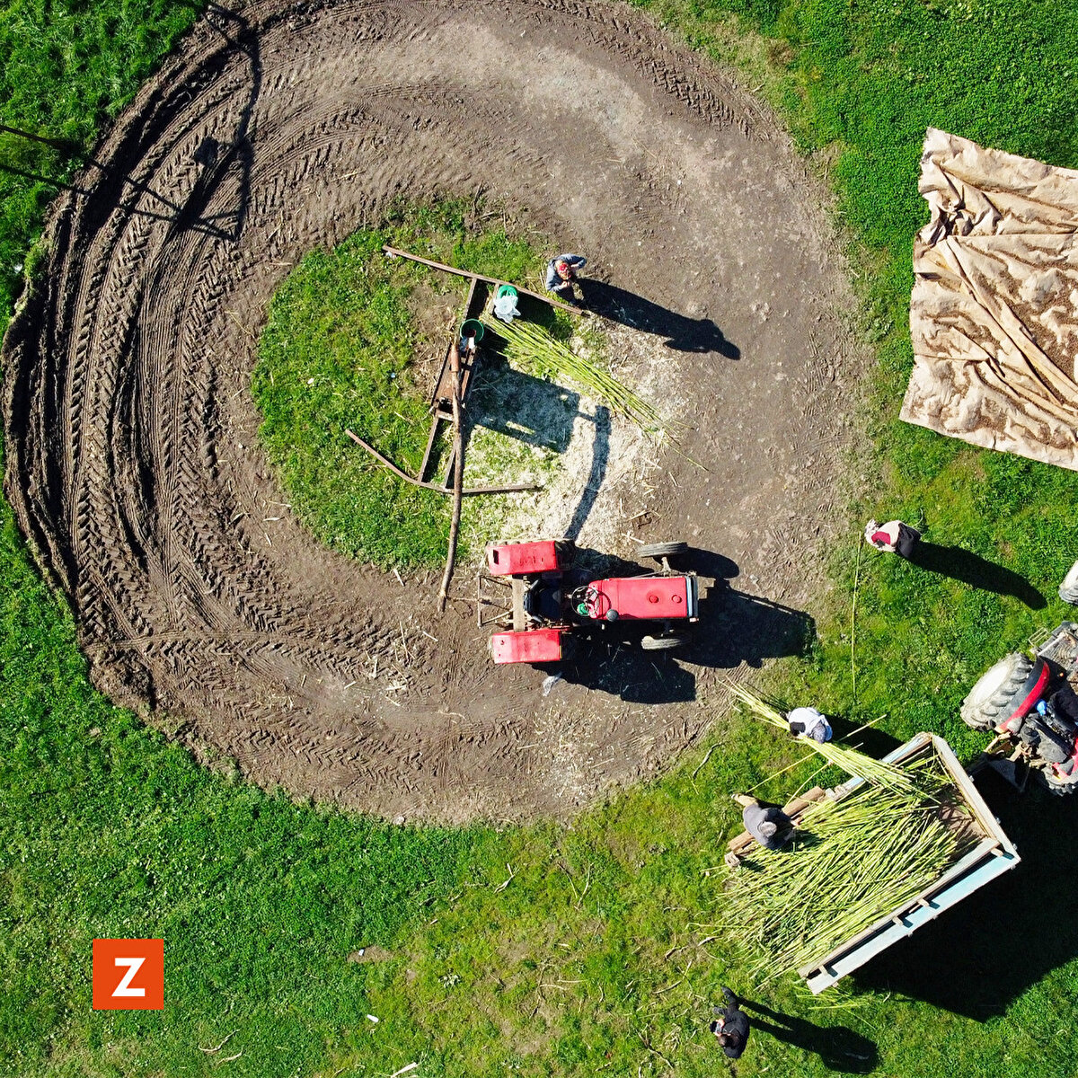  Traktörlerle meydana taşınan şeker kamışlarının, köyde dört nesildir kullanılan 150 yıllık mengenede sıkılarak suyu çıkarılıyor.