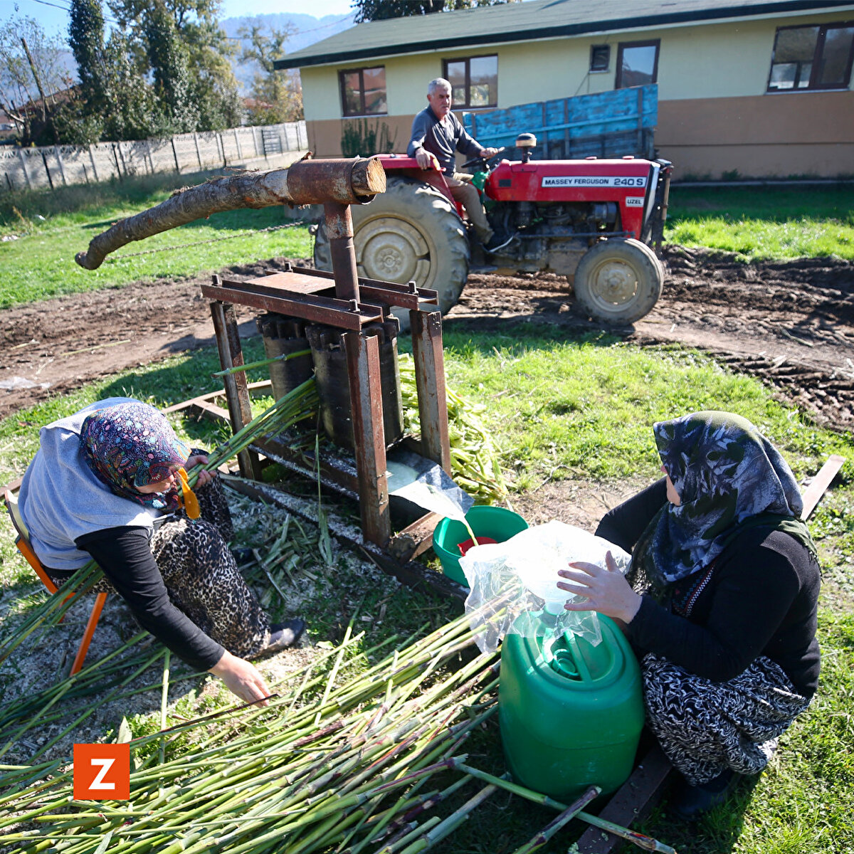 Geleneksel yöntemlerle hazırlanan ve şeker kamışının suyunun sıkıldığı atalarından kalan mengene etrafından traktör yardımıyla dönen köylüler, kamışların suyunu sıkarak ayırıyor.