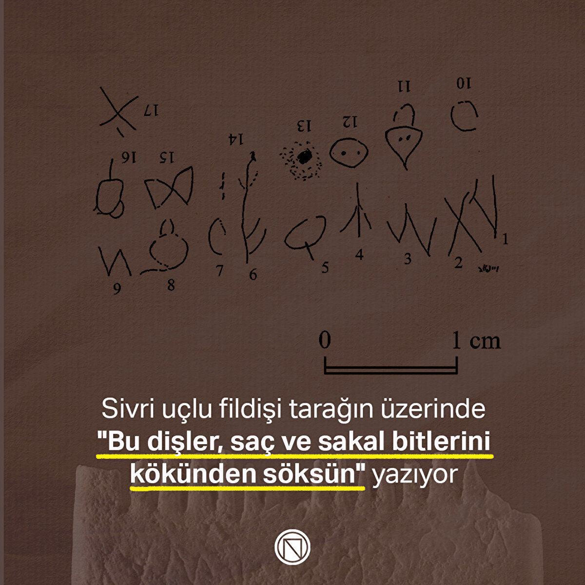 Sivri uçlu fildişi tarağın üzerinde "Bu dişler, saç ve sakal bitlerini kökünden söksün" yazıyor