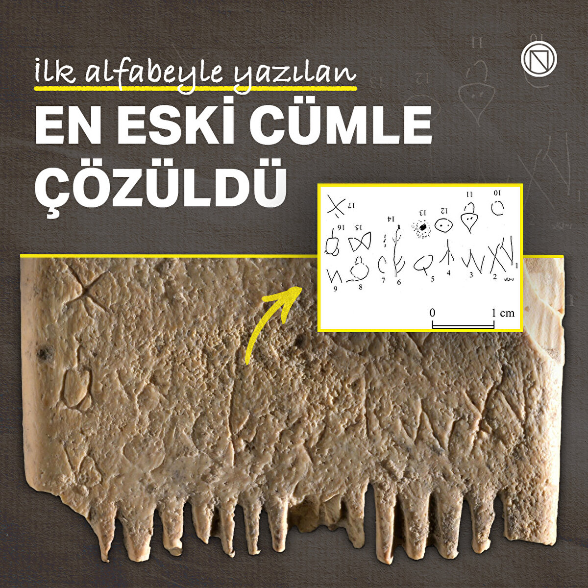 İlk alfabeyle yazılan en eski cümle çözüldü