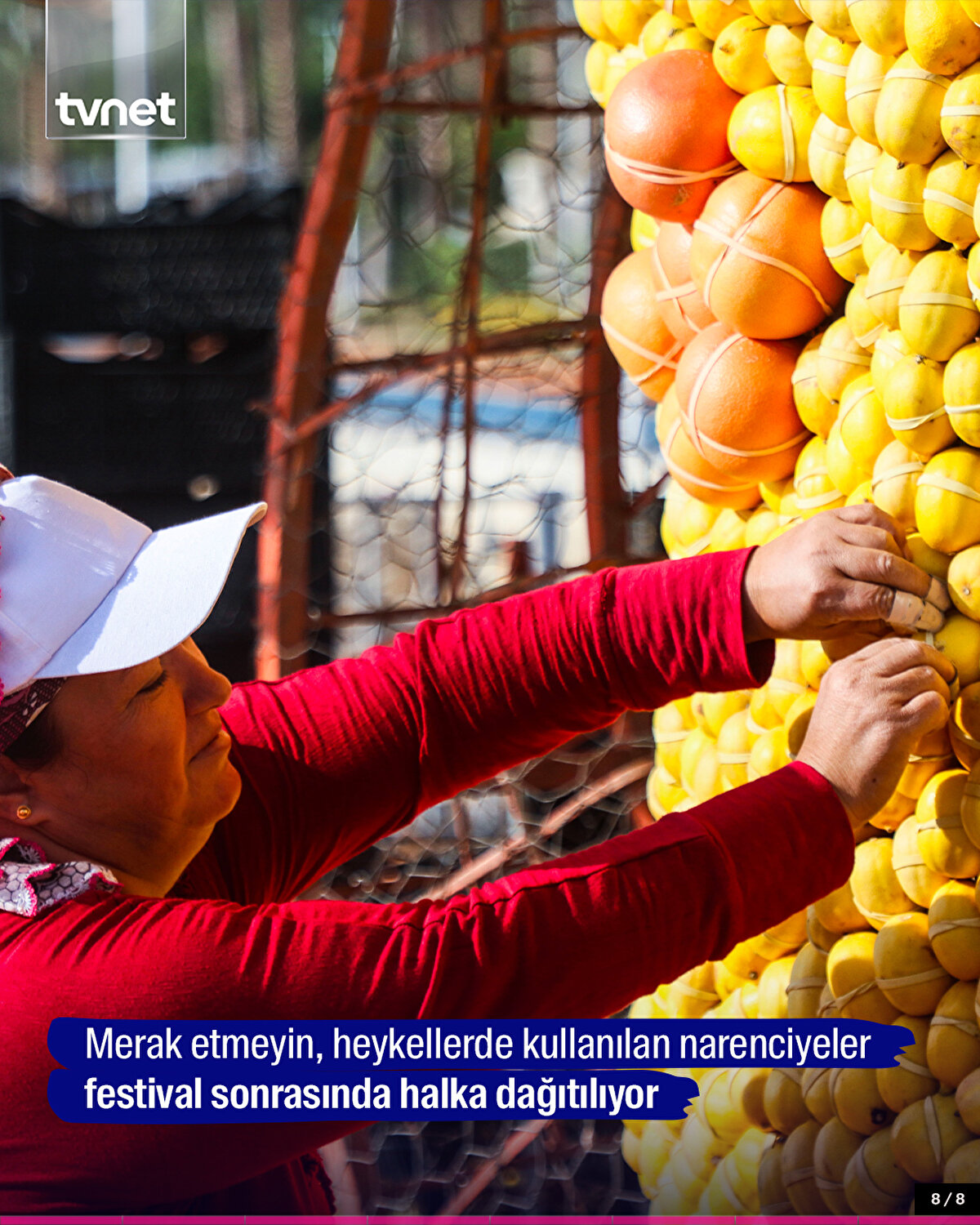 Merak etmeyin, heykellerde kullanılan narenciyeler festival sonrasında halka dağıtılıyor