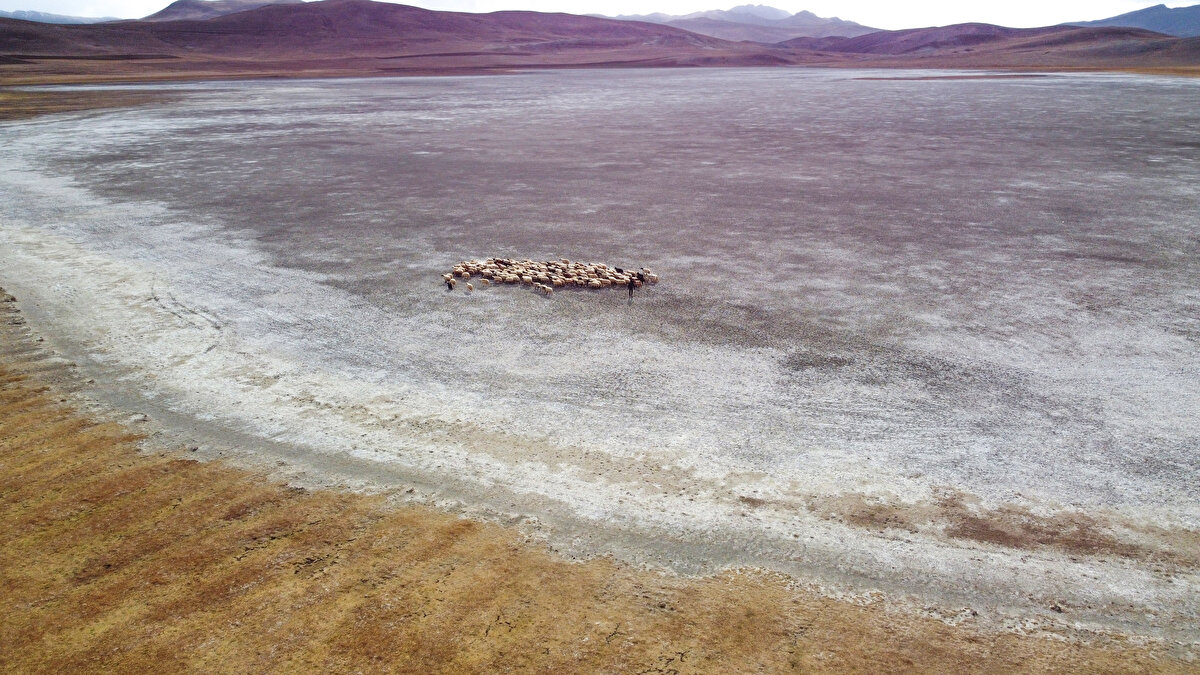 Alaeddinoğlu, Birleşmiş Milletlerin küresel iklim değişikliğiyle ilgili hazırladığı raporlarda 2030 yılı için öngörülen tabloların tamamının bugünden gerçekleştiğini vurguladı.<br><br>