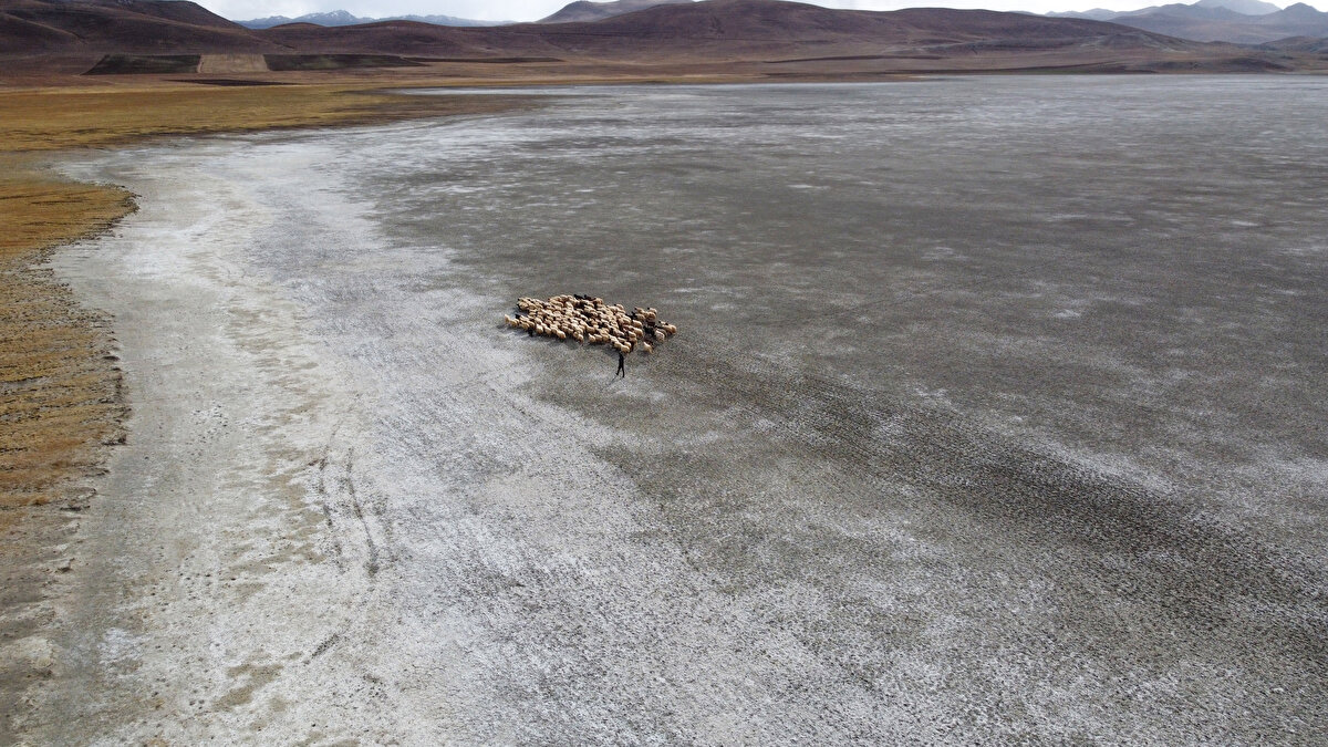 Kuruyan Van Gölü'ne gelen ziyaretçiler, gölün daha önce ördek, yabani kaz, flamingo gibi kuş türlerine ev sahipliği yaptığını ama göl kuruduğu için başka yerlere göç ettiğini söyledi.<br><br>