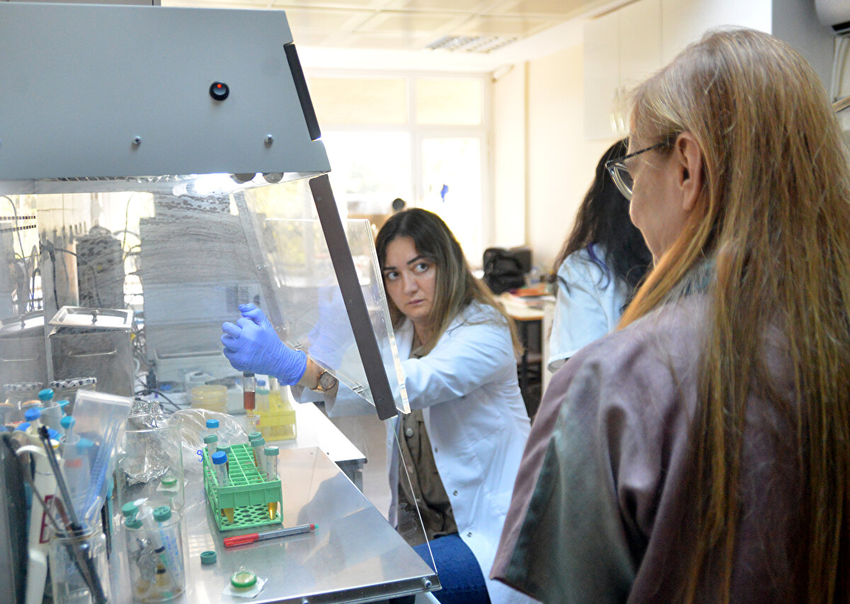 Yaklaşık 250 örneği inceledik. Etli olan örneklerin tamamına yakınında salmonella bakterisi ile karşılaştık. Etsiz çalıştığımız çiğ köfte örneklerinin bazılarında da yine salmonella ile karşılaştık ama salmonella dışındaki diğer bağırsak kökenli bakterilerin de çok fazla olduğunu tespit ettik. Bu bakterilerin içinde; bağırsak iltihaplanmasına neden olabilen bir 'E. coli' olduğu gibi, kolera benzeri bir ishalle, su kaybına neden olup gelişmekte olan ülkelerde yetersiz beslenme koşullarında çocuk ölümlerine sebebiyet verebilen koli basilleri de saptadık."