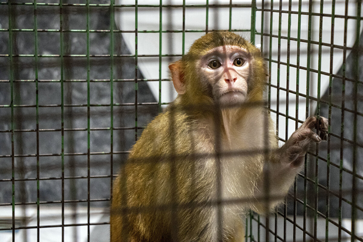Bursa'nın Mudanya ilçesine bağlı Güzelyalı Mahallesi'ndeki evin sakinleri, gece yarısı beklemedikleri bir misafir ile karşılaştı.<br><br>