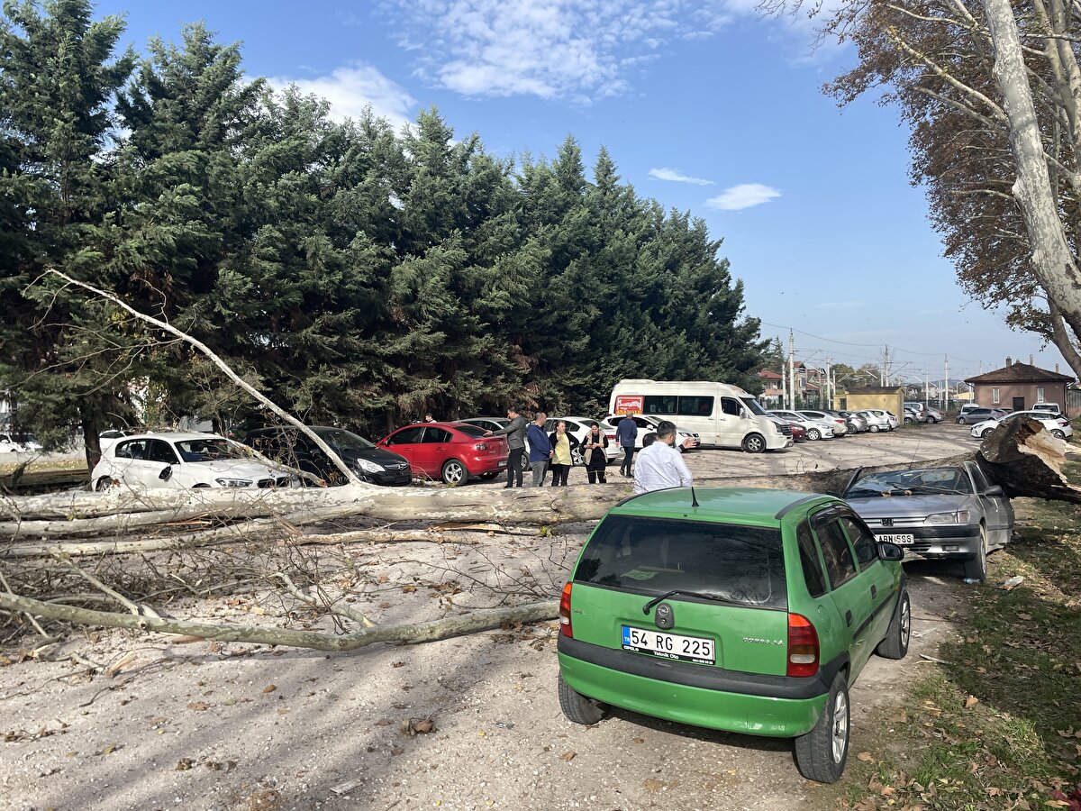 Gerekli işlemlerin ardından Sakarya Büyükşehir Belediyesi görevlileri ile itfaiye ekipleri ağaç ve dalları kaldırdı.