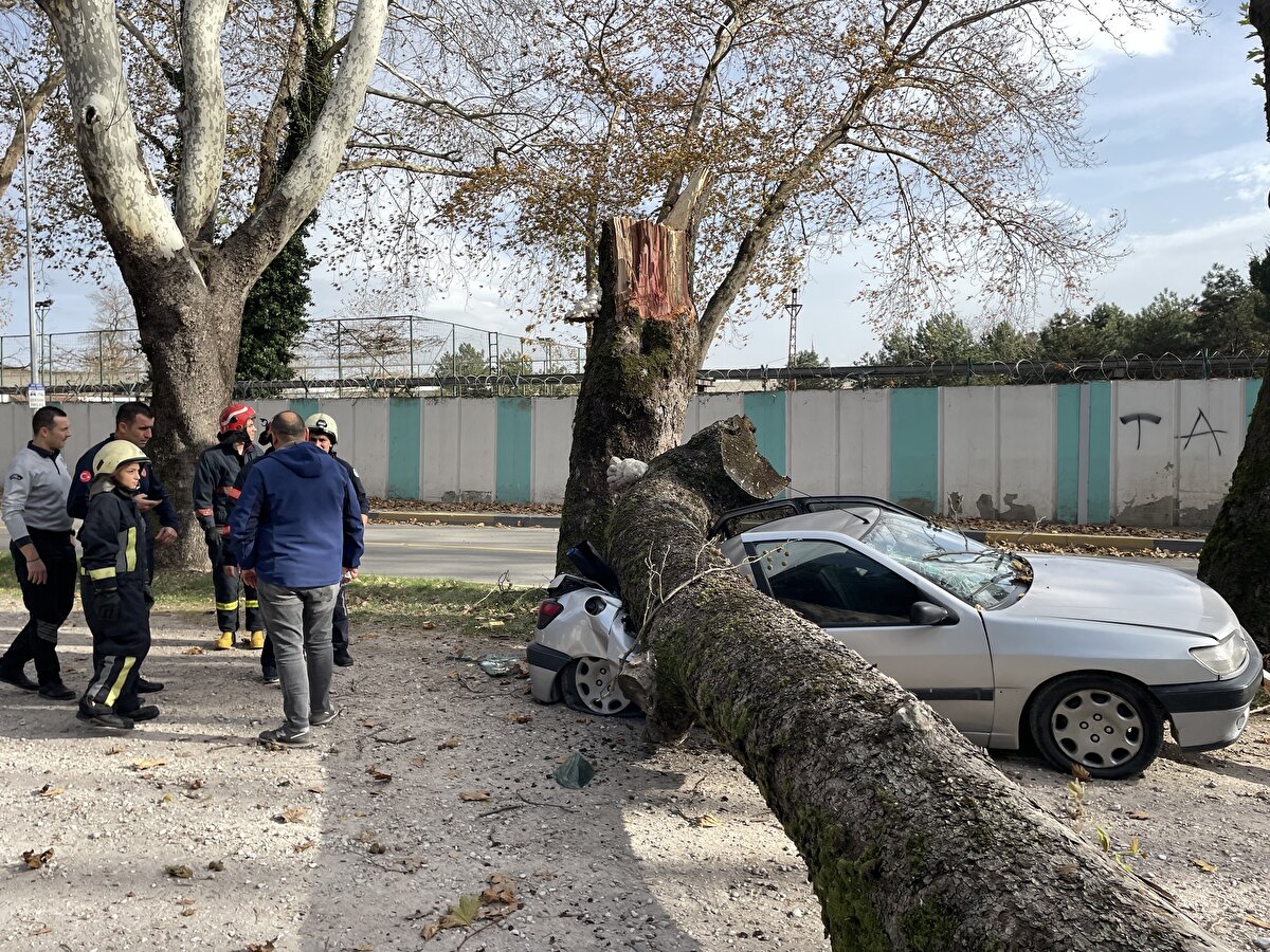Çocuklarının da aynı okulda okuduğunu belirten Koç, "Her zamanki gibi çocuklarımla birlikte buraya gelmiş aracı bırakmış ve okula geçmişler. Tam okula girdiği esnada ağacın sallandığını görmüş, o sırada rüzgar da varmış. Bir anda ağaç gürültüyle yıkılmış. Gelip baktığında aracı bu halde bulmuş. Maalesef görünmez kaza." diye konuştu.