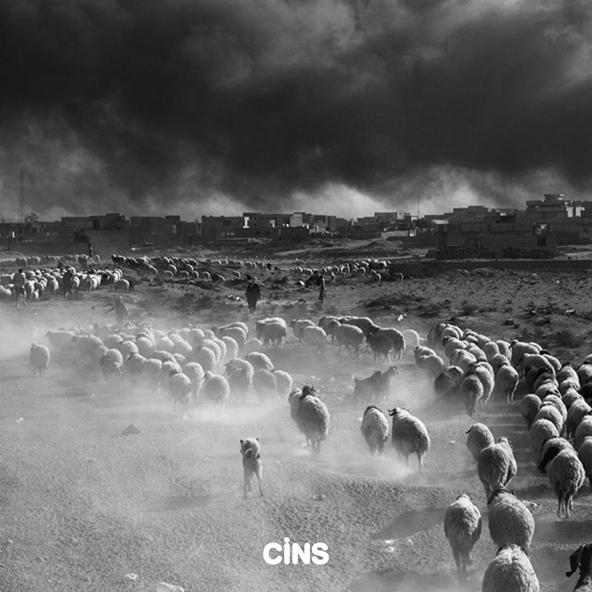 Sürüye ayak uyduranlar