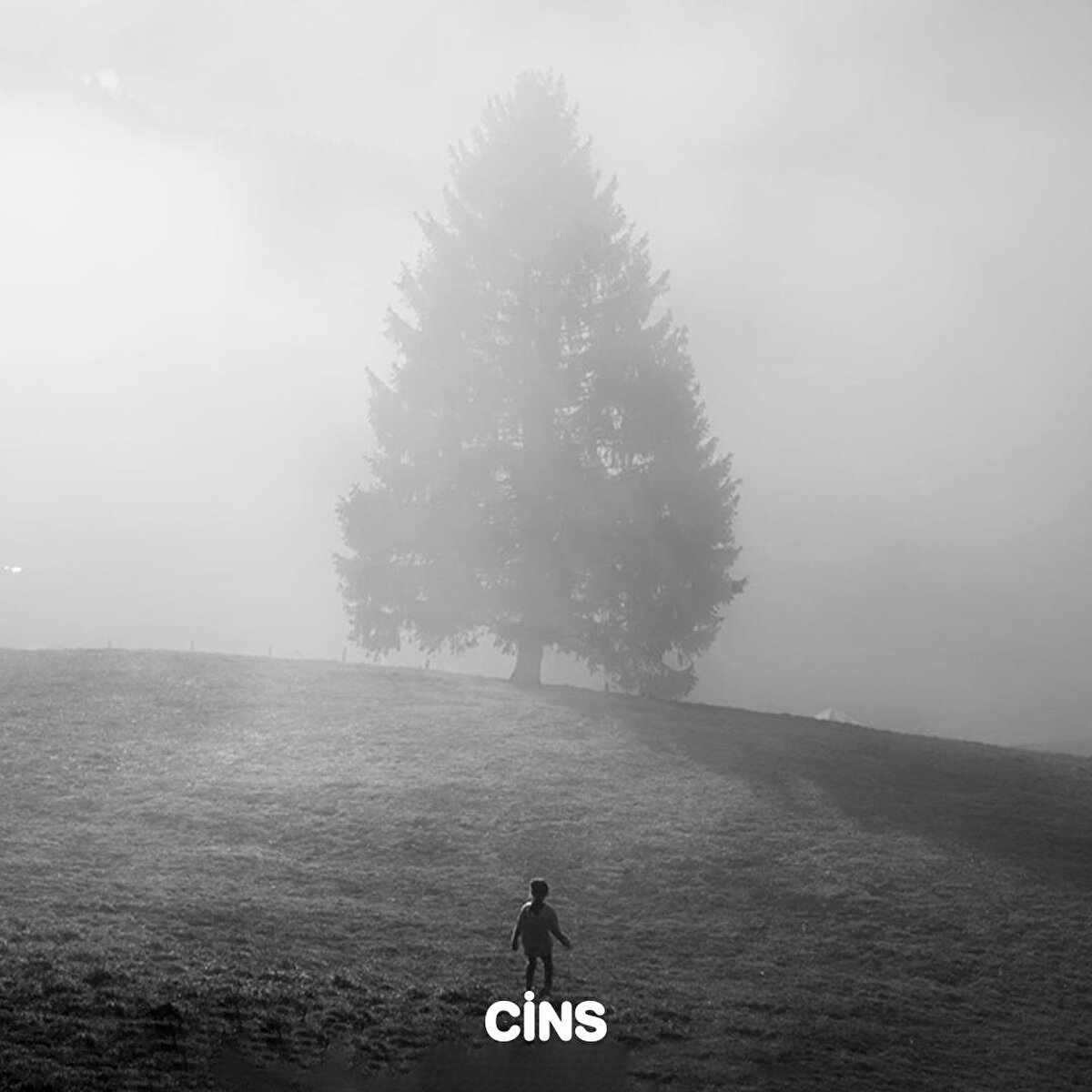 Issızlığın aksine gencecik kalanlar