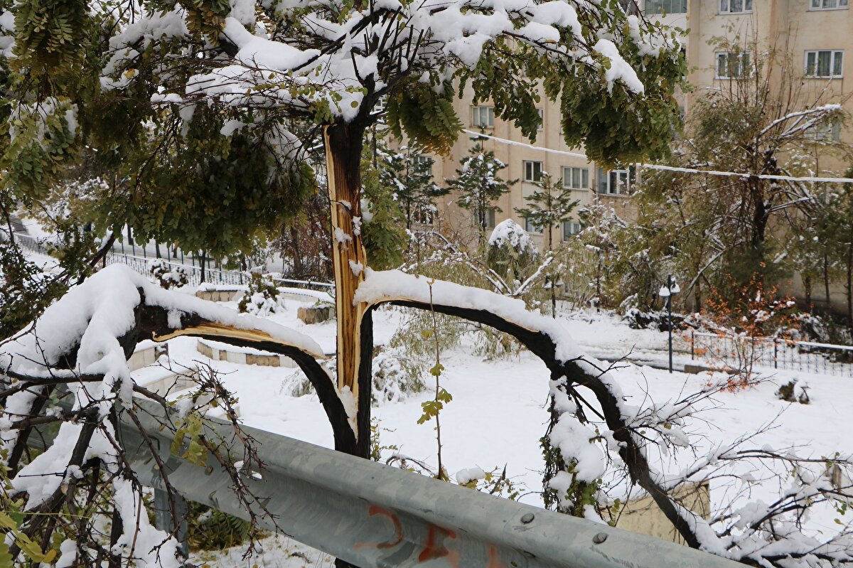 بسبب تساقط الثلوج بكثافة ، تم إغلاق 45 قرية و 110 طريق صغير في المدينة ، 115 منها في منطقة يوكسكوفا ، أمام وسائل النقل.