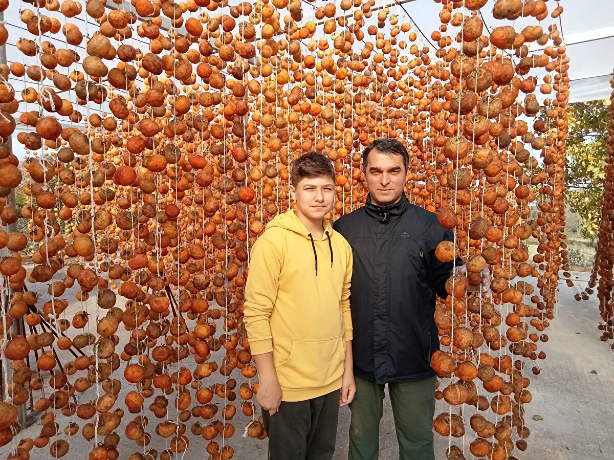 Sakarlı Mahallesi'nde ortaokul öğrencisi 12 yaşındaki Muhammet Mert ve ilkokul öğrencisi kardeşi 8 yaşındaki Miraç Efe Gödek, okuldan arta kalan zamanlarında, fındık yetiştiriciliği yapan ve Trabzon hurması kurutarak kazanç sağlayan ailelerine yardımcı oluyor.<br><br>Sonbaharda, toplanan Trabzon hurmalarını soyarak ipe dizen Gödek ailesi, "cennet hurması" olarak da bilinen meyveyi satarak gelir sağlıyor.