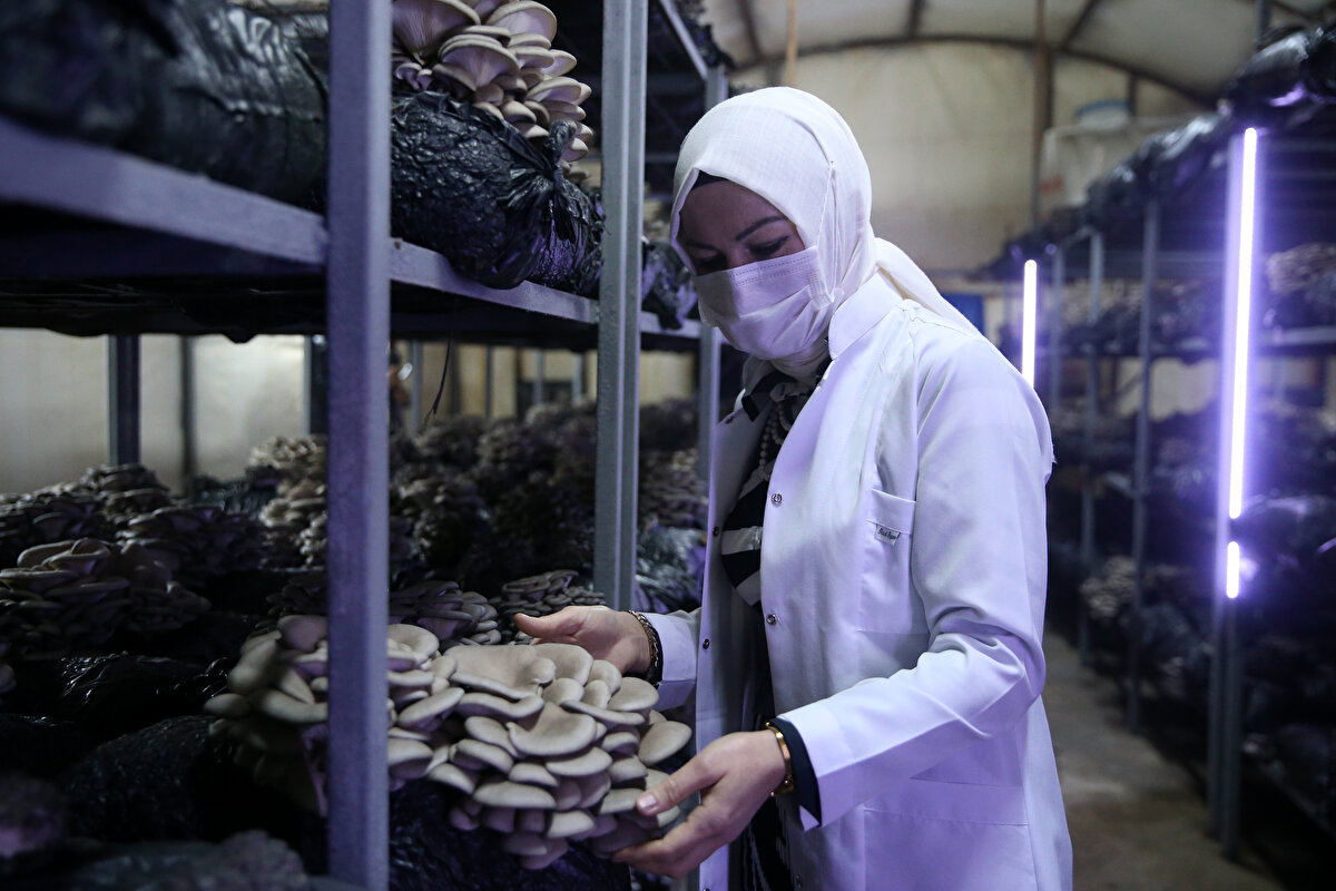 Sarı, "Evde boş zamanımız oluyordu, bunun için projede yer almaya karar verdim. Çok mutluyum. Evimde salça, reçel yaparken şimdi mantar üretmeye başladım. Bu yola çıktık ve başardık." dedi.