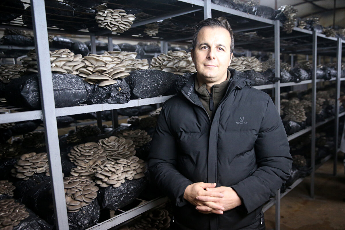 Vali Gökmen Çiçek'ten iki çadır sözü daha aldıklarını, böylece üretimi yılda yaklaşık 50 tona çıkarmayı hedeflediklerini aktaran Eyyüpkoca, bu üretime yüzlerce kadını dahil ederek daha çok gelir elde edeceklerini sözlerine ekledi.