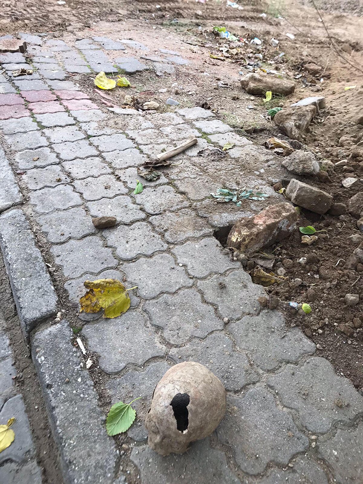 Olay, dün akşam, Nazilli ilçesine bağlı Sümer Mahallesi'nde meydana geldi. İnşaatın kazı çalışmaları sırasında, insana ait olduğu sanılan kafatası ve kemik parçaları bulundu. 