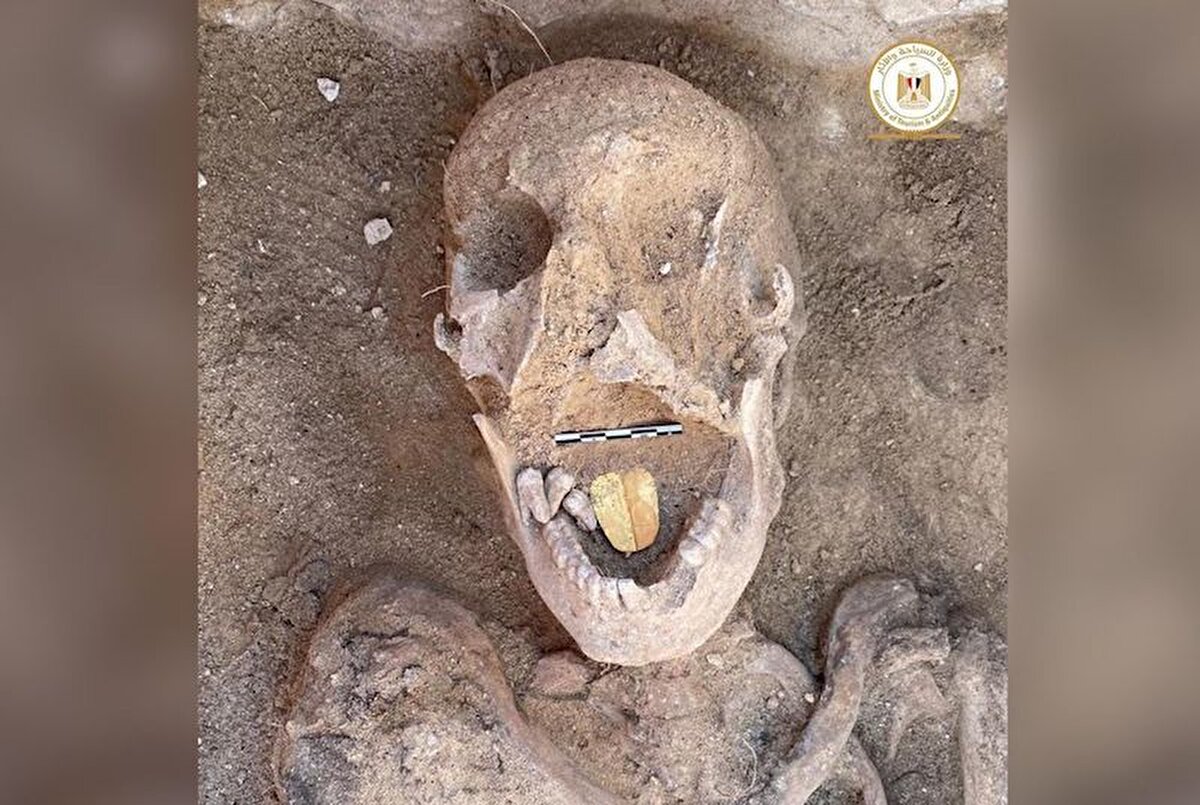 İlginç keşif, merkezi Nil Deltası'ndaki Quweisna nekropolünde (antik mezarlık bölgesi) yapıldı.<br><br>