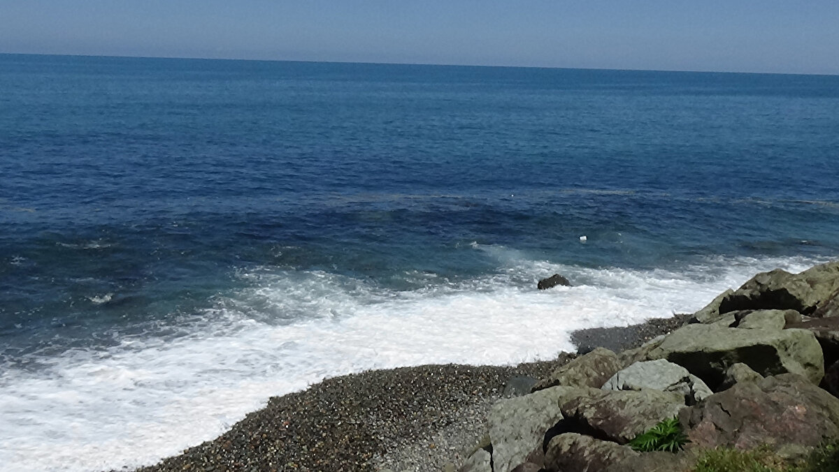 BALIK POPÜLASYONLARI MARUZ KALABİLİR'<br><br>Ağır metallerin akarsularla taşınarak deniz tabanından biriktiğini ve suya karışabildiğini de kaydeden Özşeker, "Bunlar sucul ortama girdiklerinde sadece su kolonunda kalmaz. Belirli bir miktarı aştıktan sonra deniz tabanındaki tortu tabakada çökelmeye başlar. Tortu tabakadaki birikim, taşıma limitinin üzerine çıktığı zaman ağır metaller sucul ortama geçiş yaparak tabana yakın bölgede yaşayan balık popülasyonları buna doğrudan maruz kalabiliyor. Bu balıklar da besin zinciri yoluyla sofralarımıza geliyor. Bizler bir şekilde ağır metale maruz kalabiliriz. Mikroplastik ve diğer kirleticiler gibi ağır metalleri de bu anlamda değerlendirmek gerekiyor. Ağır metallerin sadece bir bölgeyi değil, burada yaşayan canlılara, oradan bir üst canlıya ve sonra da soframıza kadar gelip sağlığımızı etkilediği düşünülebilir" dedi. 