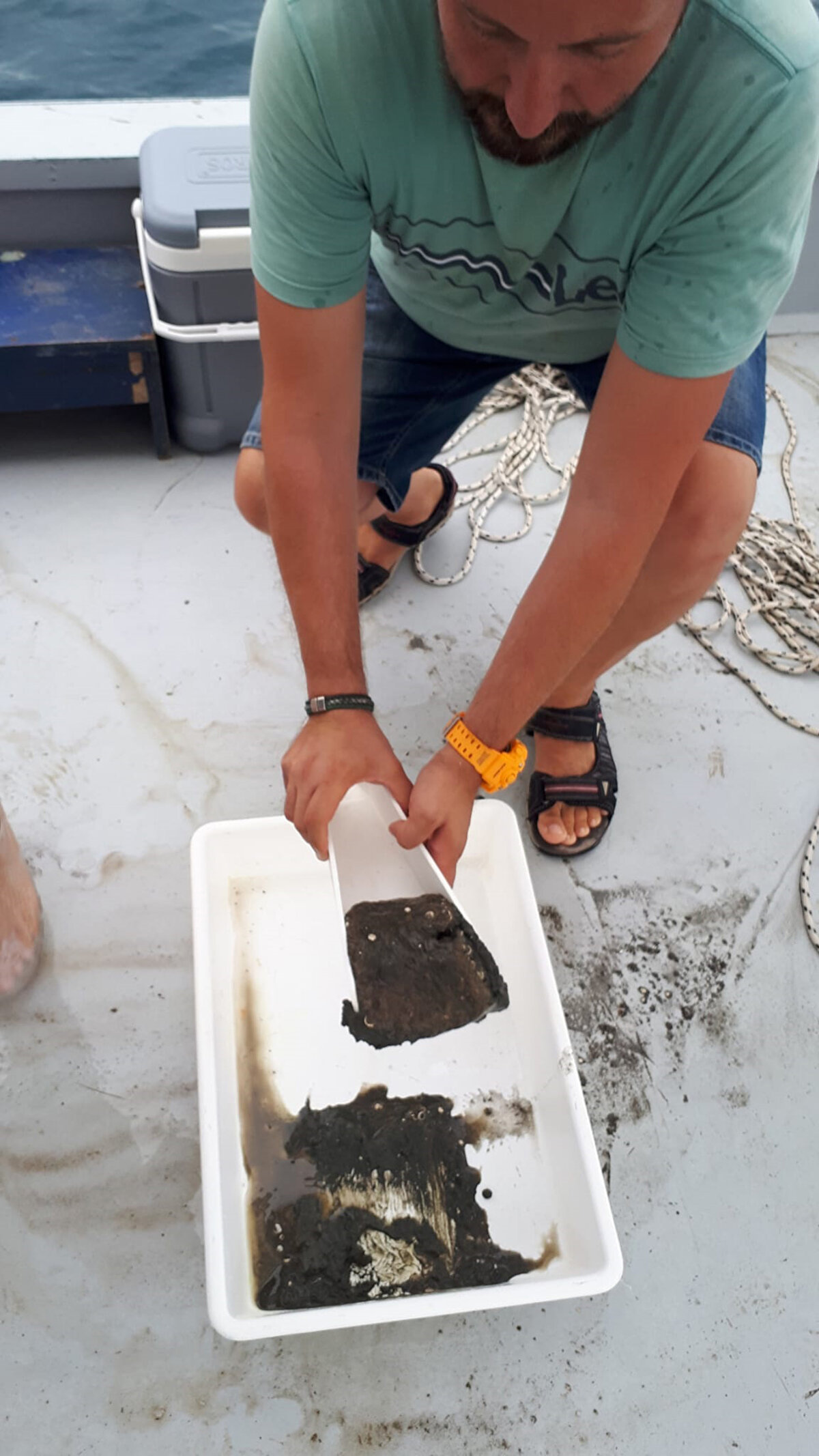  Deniz tabanında en fazla kirlilik yükü oluşturan ağır metallerin ise bakır, kurşun, arsenik ve çinko olduğu tespit edildi. En fazla kurşun ve bakır oranı Trabzon'un Sürmene ilçesinde, en fazla arsenik oranı da Ordu kıyılarında belirlendi. Araştırmada, canlıyla temas etmesi halinde zararlı etkisi bulunan bakır, kurşun, çinko, nikel, kobalt, arsenik, stronsiyum, vanadyum, lantan ve alüminyumdan oluşan 10 toksik metal türünden bakır ve kurşunun birikiminin limitlerin üstünde, arsenik ve çinkonun limitlere yakın olduğu saptandı.