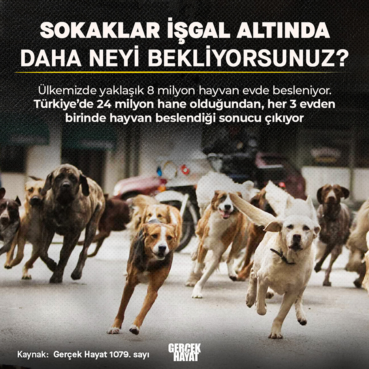 Türkiye’de 24 milyon hane olduğundan, her 3 evden birinde hayvan beslendiği sonucu çıkıyor