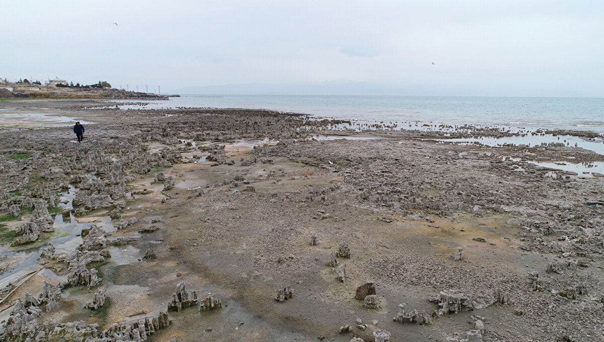 "NORMALDE GÖRMEK MÜMKÜN DEĞİL"<br>Van Gölü'nün devasa bir su kütlesi olduğunu hatırlatan Akkuş, çok uzun yıllar sonucunda mikrobiyalitlerin oluştuğunu ifade etti.<br><br>"Van Gölü'nün kalbinde ortaya çıkan bu mikrobiyalitler aslında bu bölgenin geçmişini, tarihini saklıyor" ifadelerini kullanan Akkuş, mikrobiyalitlerin 30-40 metreden, 30 santimle 1 metre arasında değişen farklı boylara sahip olduğunu söyledi.