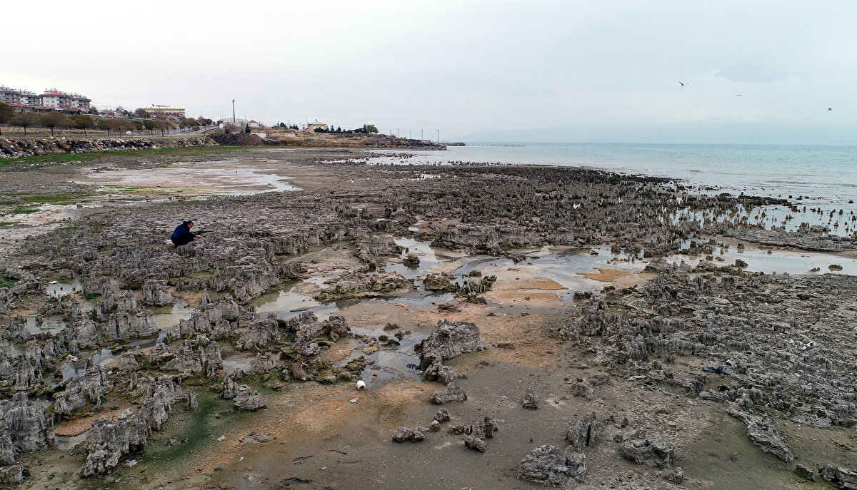 Akkuş; göl tabanındaki çatlaklardan, kalsiyum bakımından zengin tatlı sularla, göl suyundaki soda ve karbonatın birleşip çökelmeye başladığını açıklarken "Buradaki siyanobakteriler faaliyetiyle beraber mikrobiyalit denilen yapılar ortaya çıkıyor" dedi.<br><br>