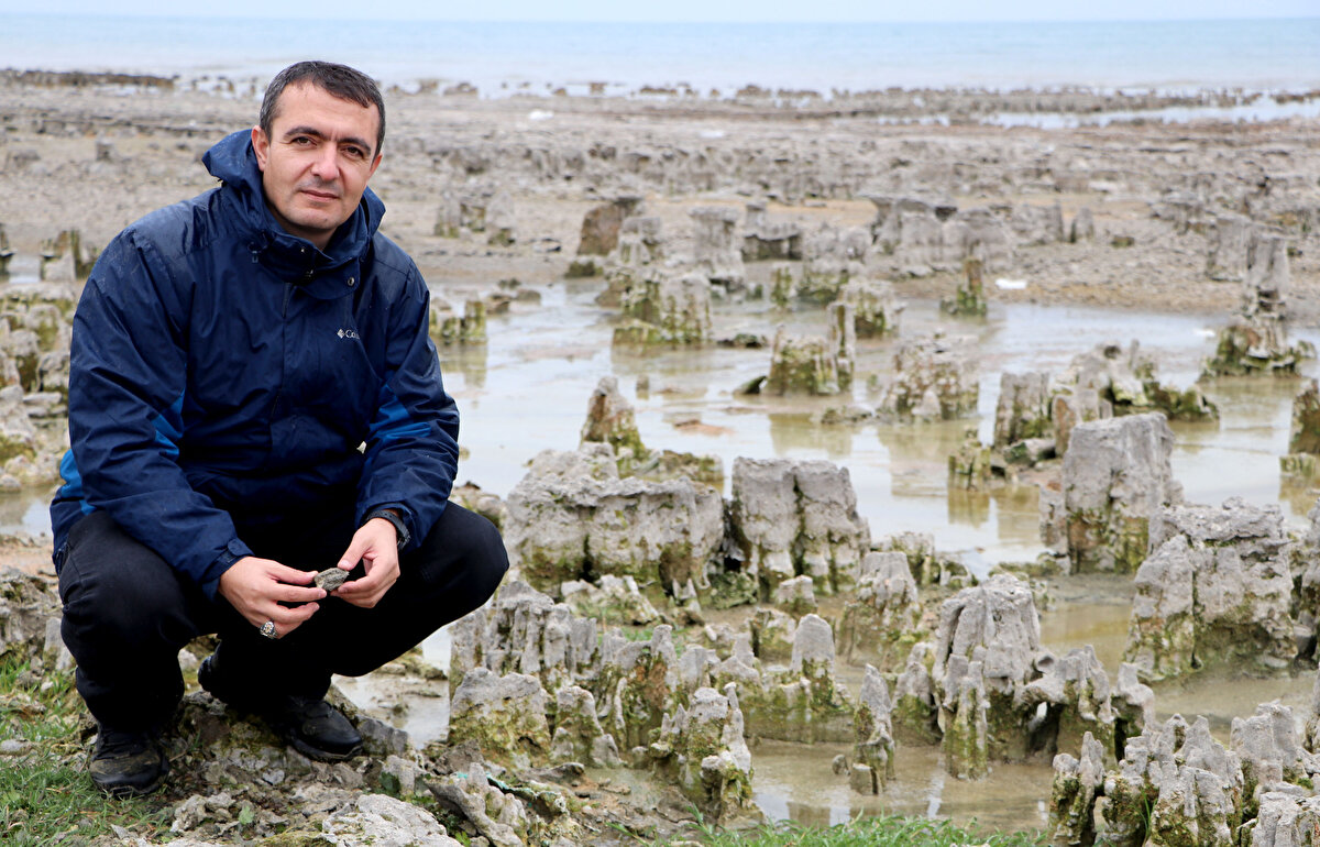 En belirgin çekilme ise su derinliğinin diğer kıyılara oranla daha az olduğu Erciş ilçesinin sahillerinde gözleniyor.<br><br>Daha önce göl suları altında olan yüzlerce dönüm alan gün yüzüne çıkarken yaban kuşların konaklama alanları olan birçok sazlık da kurudu.