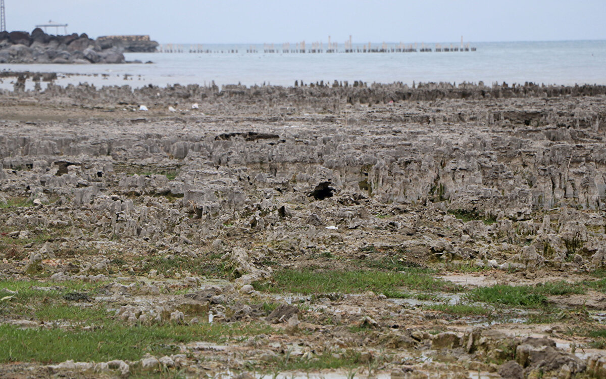 ESKTREM SU KALİTESİ NEDEN OLUYOR<br>Van Yüzüncü Yıl Üniversitesi Su Ürünleri Fakültesi Dr. Öğretim Üyesi Mustafa Akkuş, Van Gölü'ndeki ekstrem su kalitesinin, mikrobiyalit denilen özel yapıların oluşmasına sebebiyet verdiğini açıkladı.