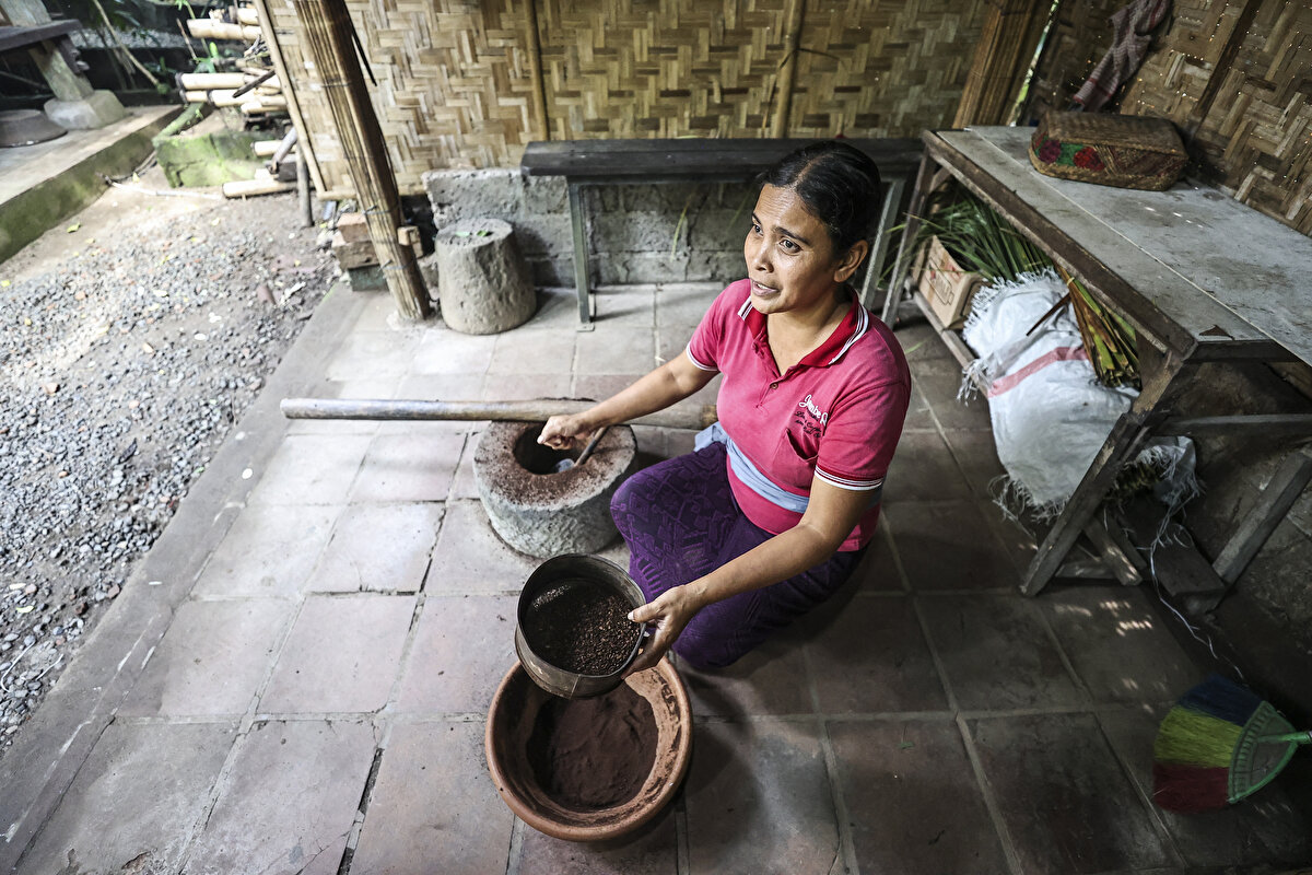 Kahvenin lezzeti, havanın yağışlı olmamasıyla bağlantılı<br><br>Bali'nin Ubud bölgesindeki yerel bir kahve çiftliğinde görevli Ni Ketut Budiani, AA muhabirine yaptığı açıklamada, bu sıra dışı kahvenin uzun bir süreçten geçerek hazırlandığını belirtti.