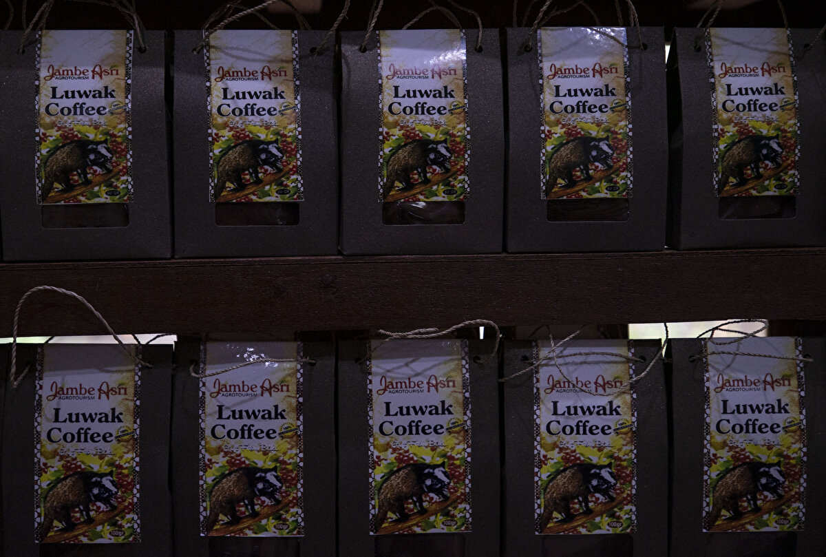 <br>Luwak kahvesinin üretimi için Misk kedilerine genellikle arabica ya da robusta kahve ağacı meyvesi yediriliyor.