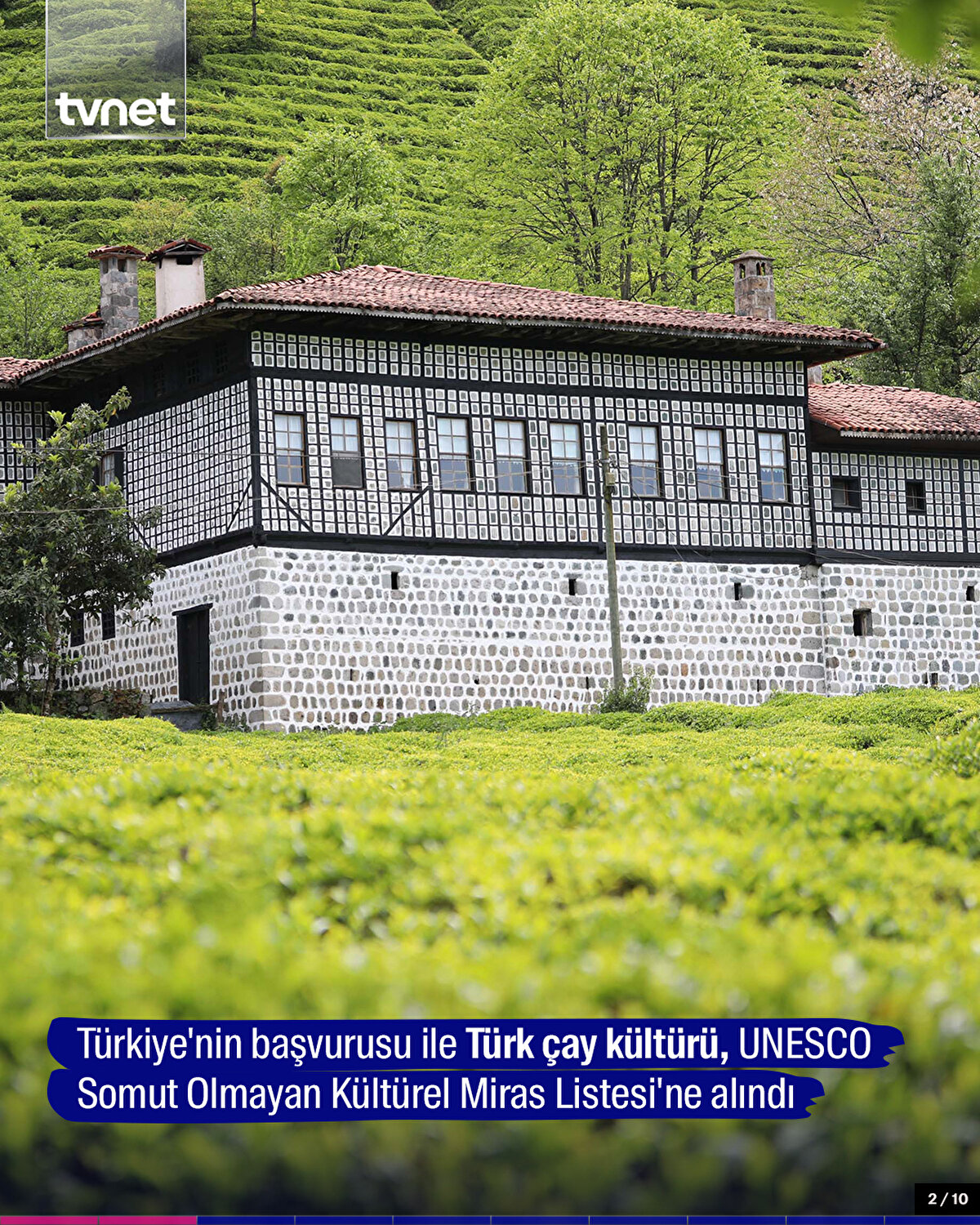 Türkiye'nin başvurusu ile Türk çay kültürü, UNESCO Somut Olmayan Kültürel Miras Listesi'ne alındı