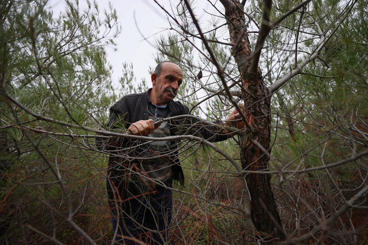 Artvin'de doğan ve 1984 yılında kazandığı sınavla önce Erzurum'da daha sonra da Eskişehir Orman Ağaçlandırma Okulunda eğitim gören İbrahim Dede, İzmir Orman Bölge Müdürlüğüne bağlı Ağaçlandırma Şefliğinde 1986'da memur olarak göreve başladı.