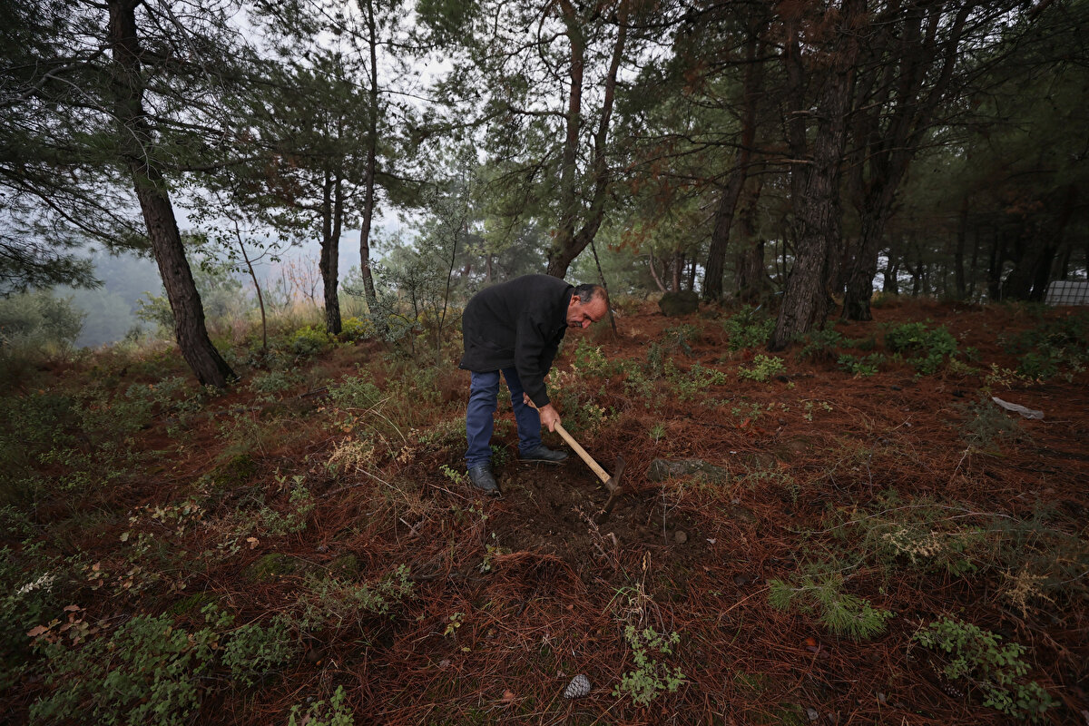 İzmir'in tüm bölgelerinde çalışan Dede, 2011'de emekli oldu.<br><br>Evli ve 3 çocuk babası olan İbrahim Dede, emekli olduktan sonra da işçi olarak fidan dikme çalışmalarına katılmaya devam etti.