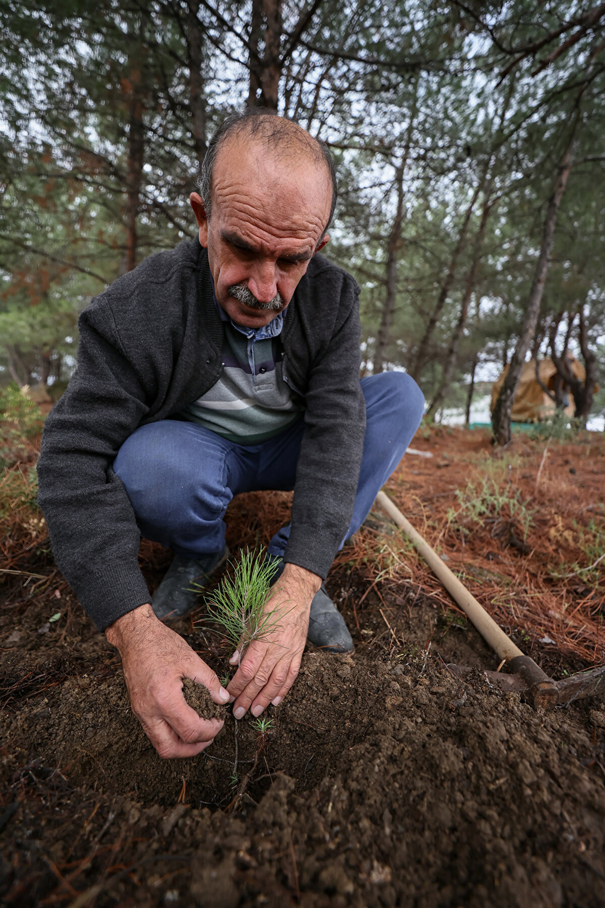 Dikim yaptığı yerlerdeki ağaçları "evladı" gibi gördüğünü vurgulayan İbrahim Dede, "Her çama sevinirim ama kendi diktiğimi görünce bambaşka seviniyorum. Bir insan her evlada sevinir ama kendi evladına bambaşka sevinir. Tabii bu memleket için bu devlet için kim bir ağaç dikerse Allah ondan razı olsun" ifadelerini kullandı.