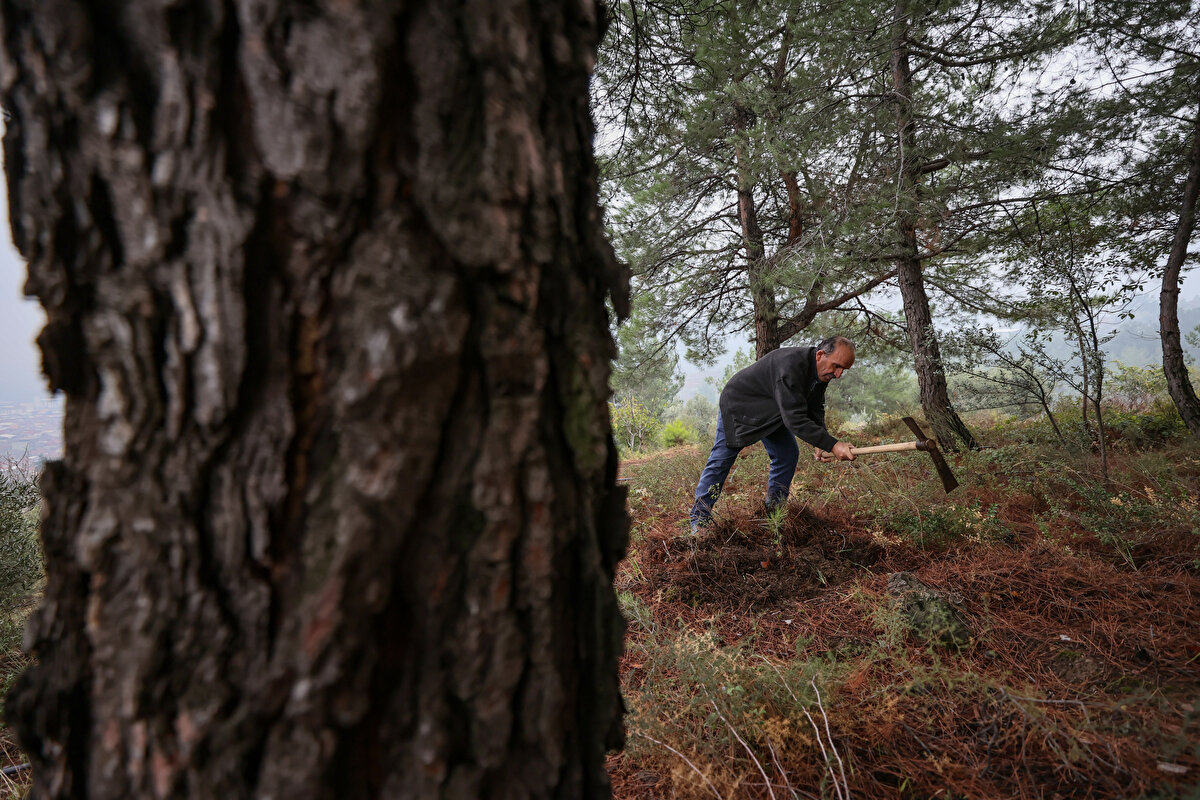 Emekli olduktan sonra 1 yıl kadar evde oturduğunu ancak bunun kendisine rahatsızlık verdiğini ifade eden Dede, ormandan kopamayacağını anlayınca fidan dikme işine işçi olarak devam etmeye karar verdiğini söyledi.<br>