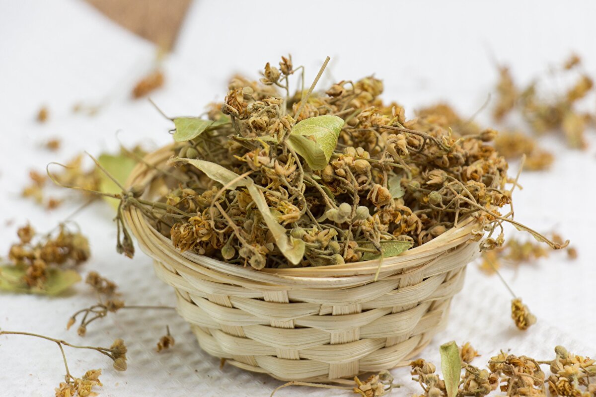 Kuşburnu ise içerdiği yüksek C vitamini ve antioksidan değerleriyle adeta mikroplarla savaşır.<br><br>