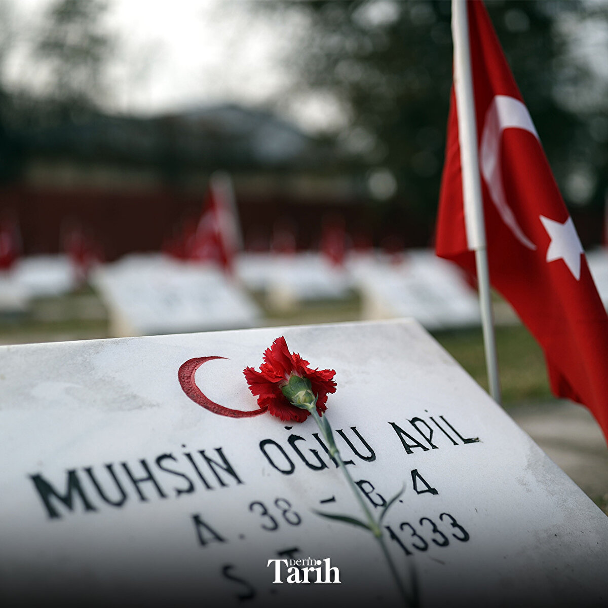 📌Bükreş Türk Şehitliği dışında Romanya’da I. Dünya Savaşı sırasında cephede savaşırken canını veren askerlerimiz için yapılmış iki şehitliğimiz daha var: 754 şehidimizin bulunduğu Braila Türk Şehitliği ve 1.493 askerimiz için yapılan Slobizia Türk Şehitliği.,