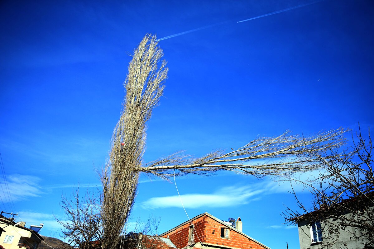 Budama işi sayesinde ev, otomobil, traktör alan ve 2 çocuğunu büyüten Ayhan, işini severek yapıyor.<br>