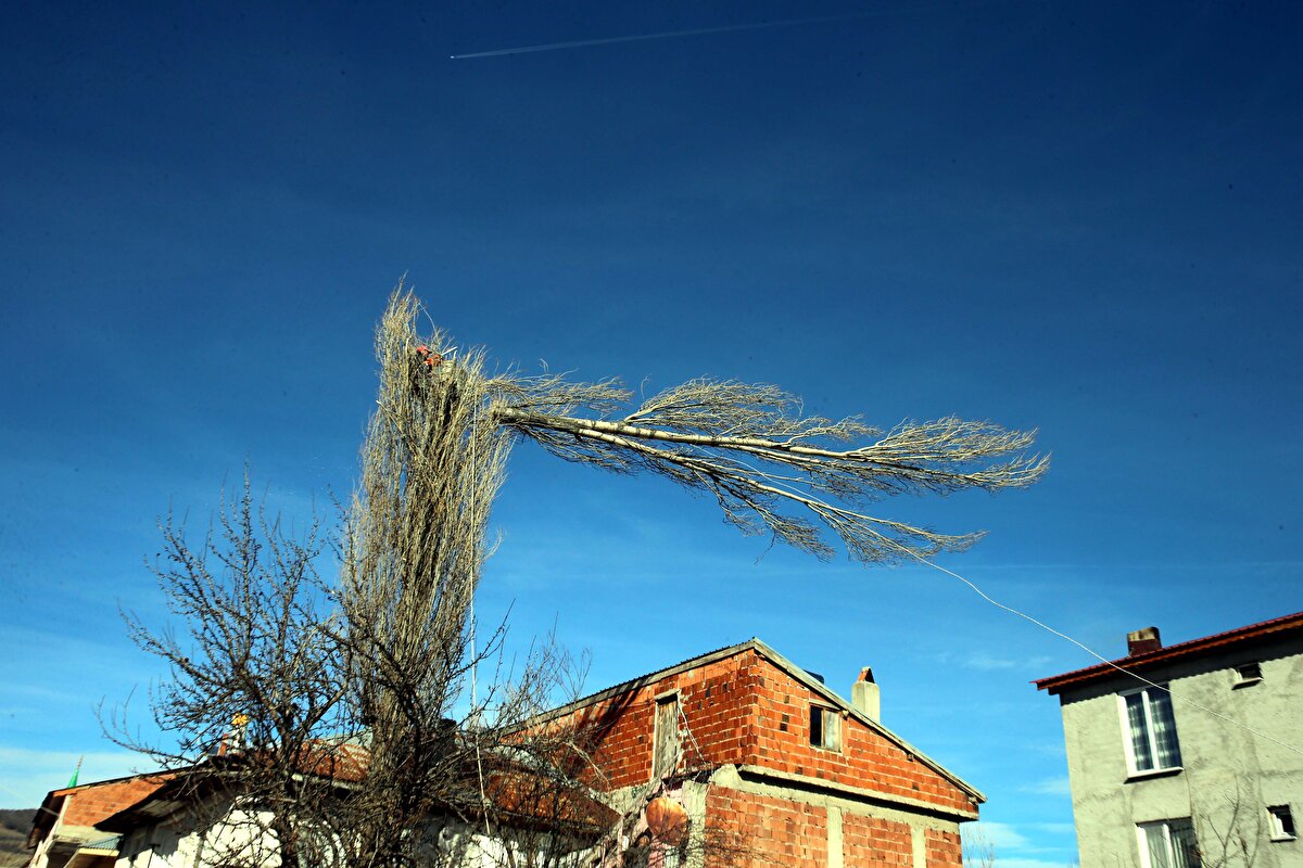 İyilik yapmak için ihtiyar birinin evinin önündeki ağacı budamasıyla bu işe başlayan Osman Ayhan, yıllardır ekmeğini metrelerce yükseklikteki ağaç dallarını keserek kazanıyor.<br>